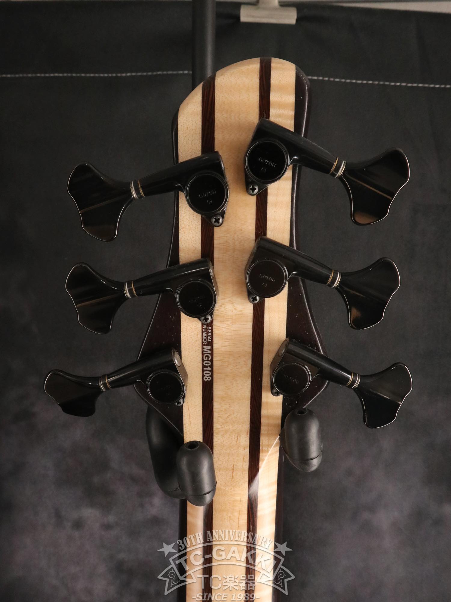 2024 Desert 6 strings - TC楽器 - TCGAKKI
