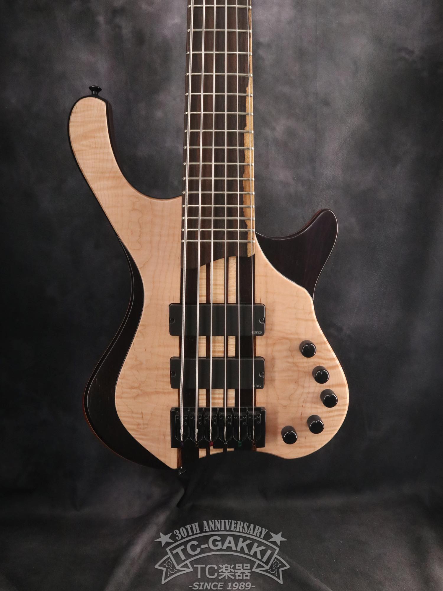 2024 Desert 6 strings - TC楽器 - TCGAKKI