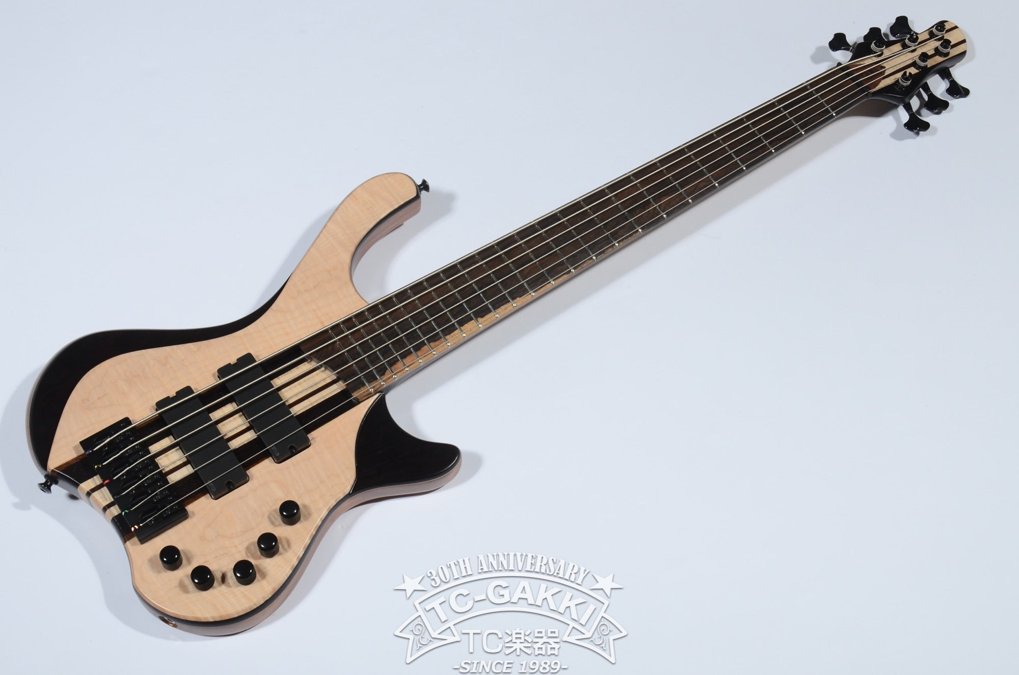 2024 Desert 6 strings - TC楽器 - TCGAKKI