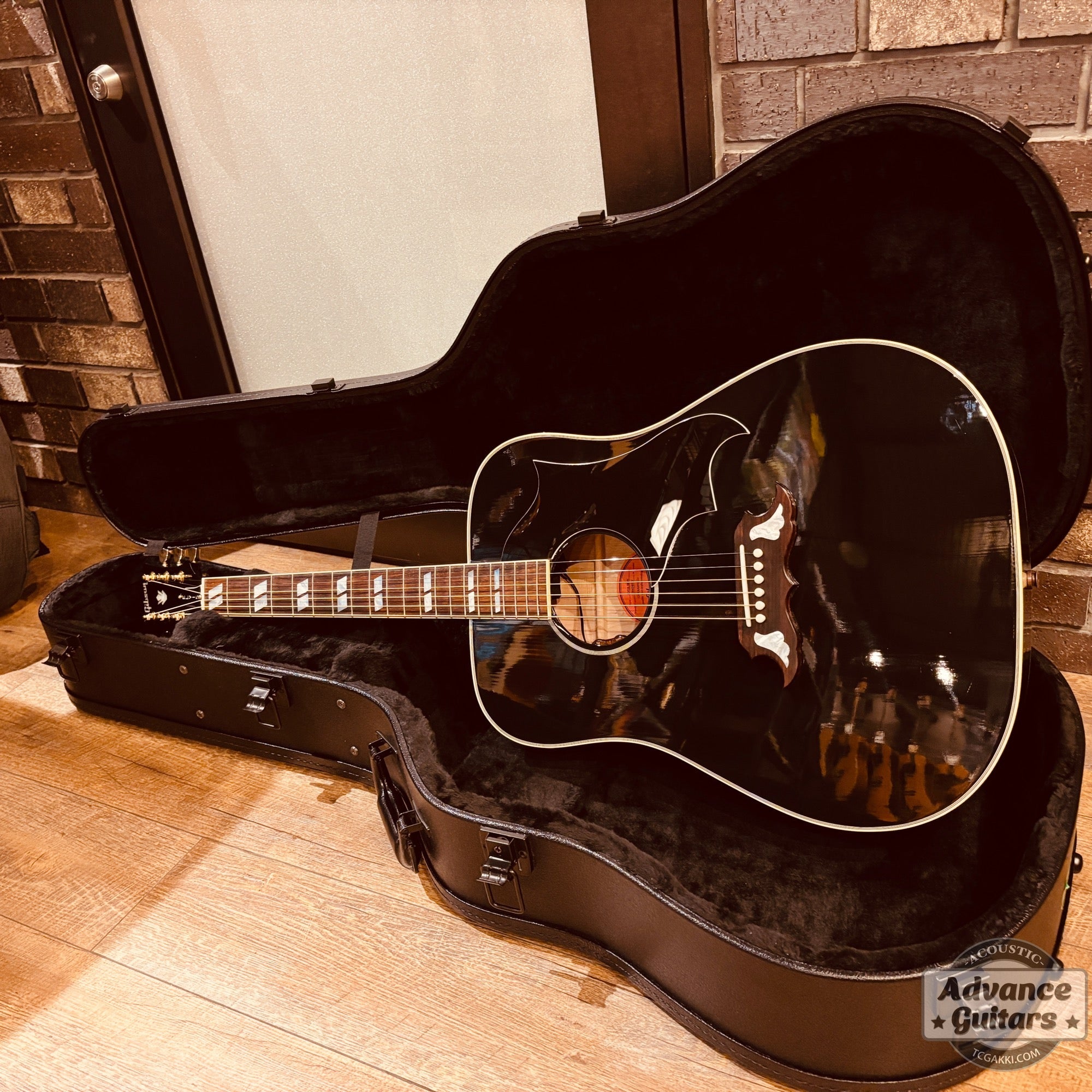 2024年製 ELVIS Dove - TC楽器 - TCGAKKI