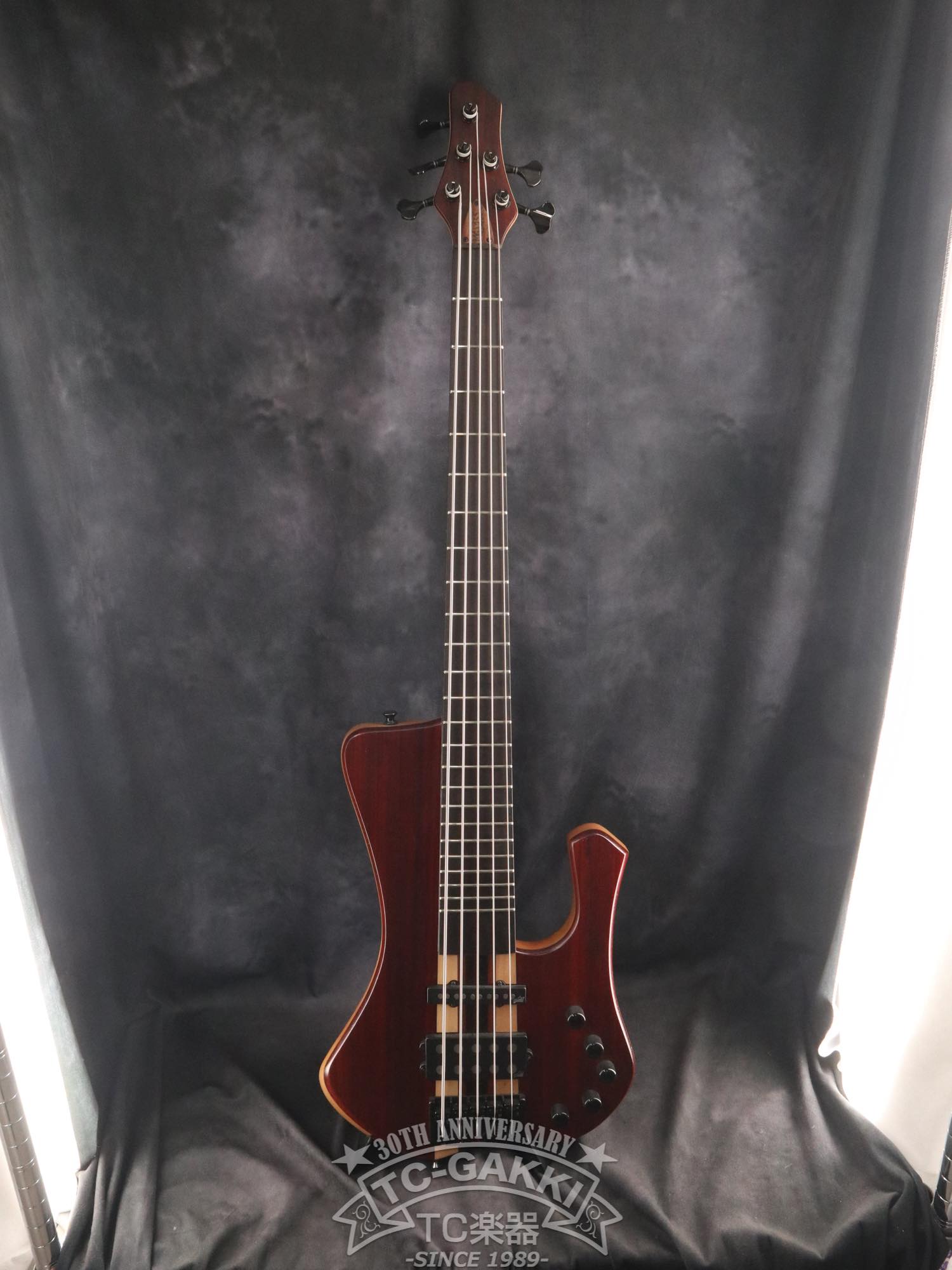 2024 Extreman 5 Strings - TC楽器 - TCGAKKI