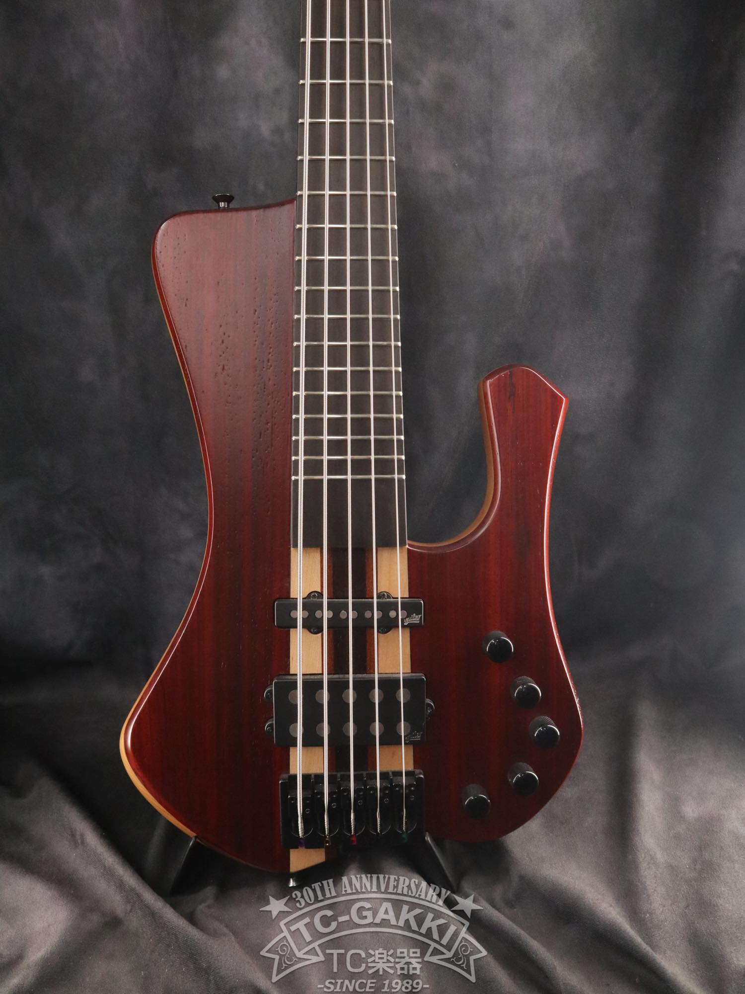 2024 Extreman 5 Strings - TC楽器 - TCGAKKI