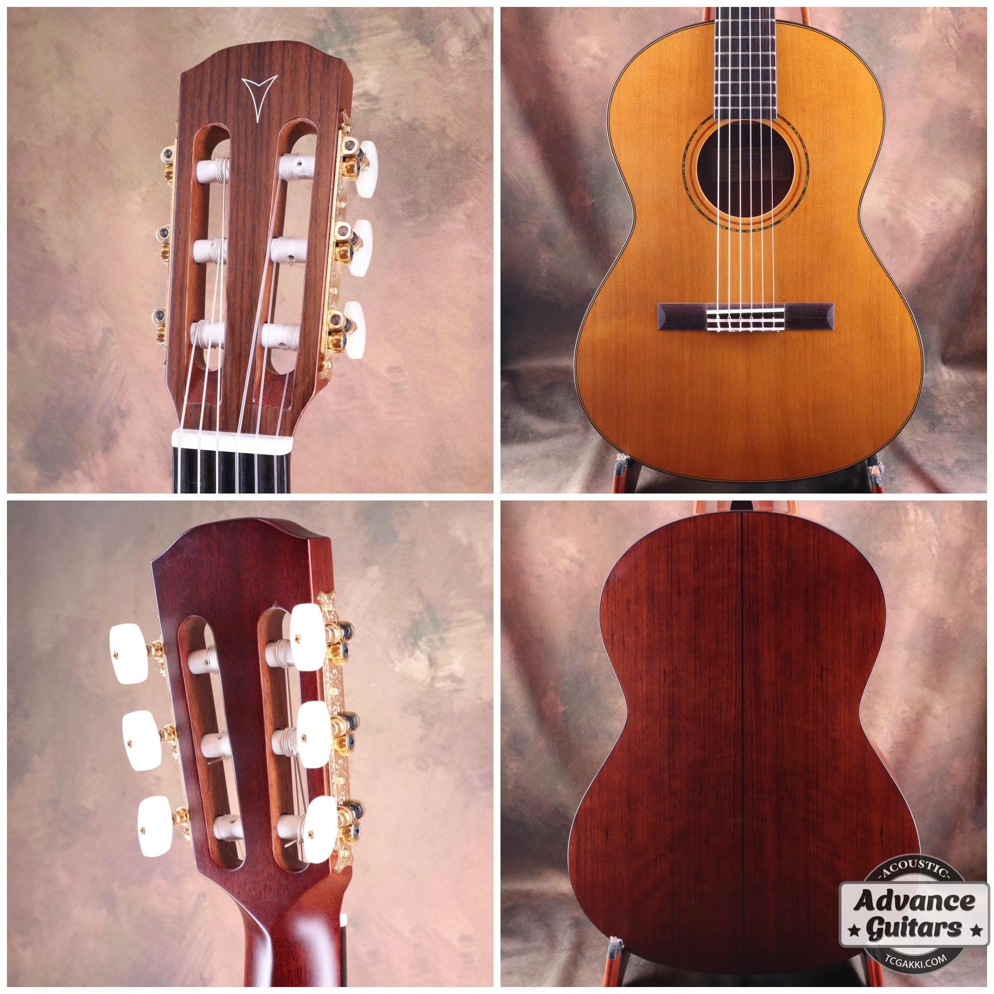 2024年製 GF - 7 - TC楽器 - TCGAKKI