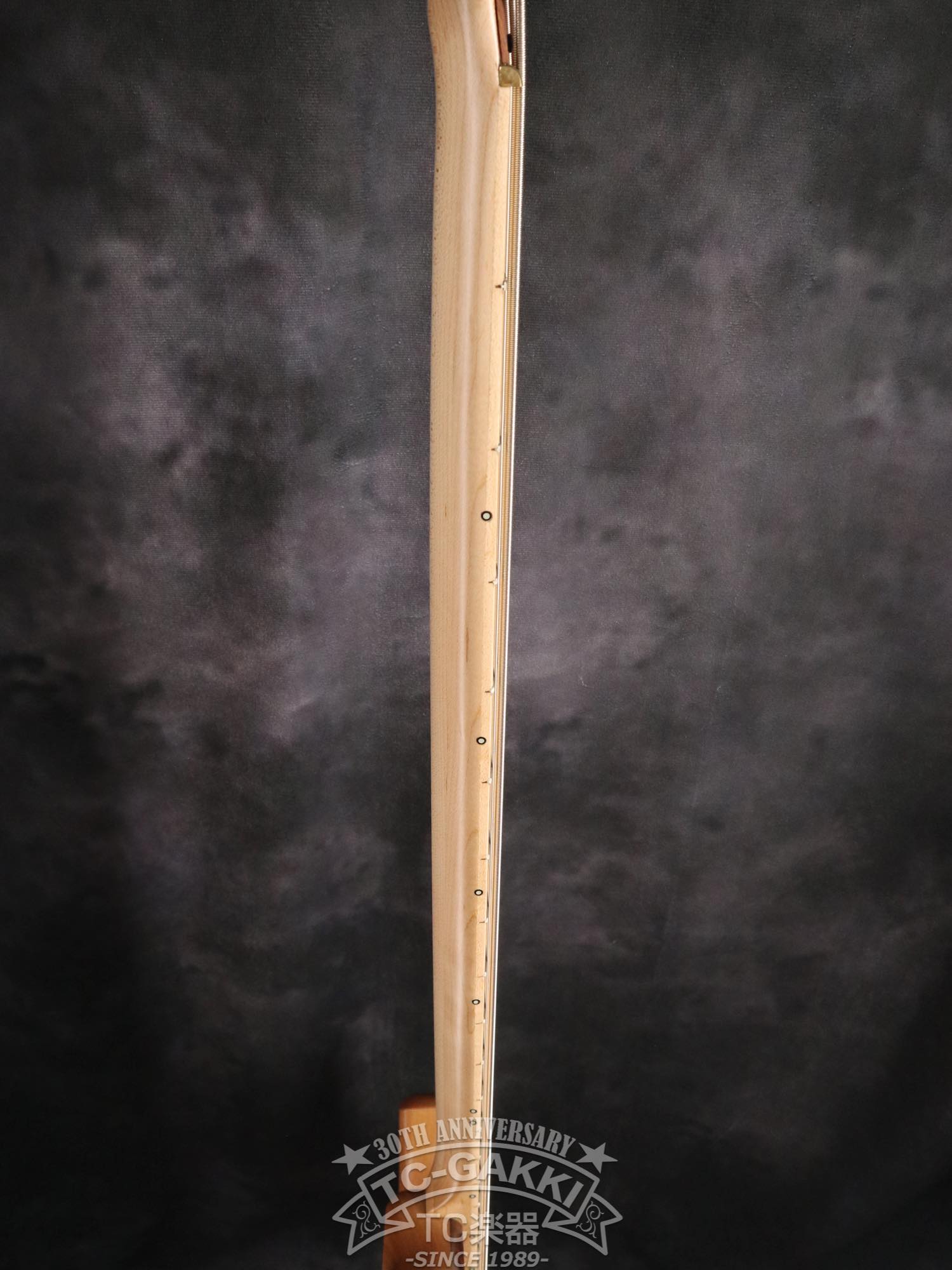 2024 Infinity 4 strings NAMM edition 2024 - TC楽器 - TCGAKKI