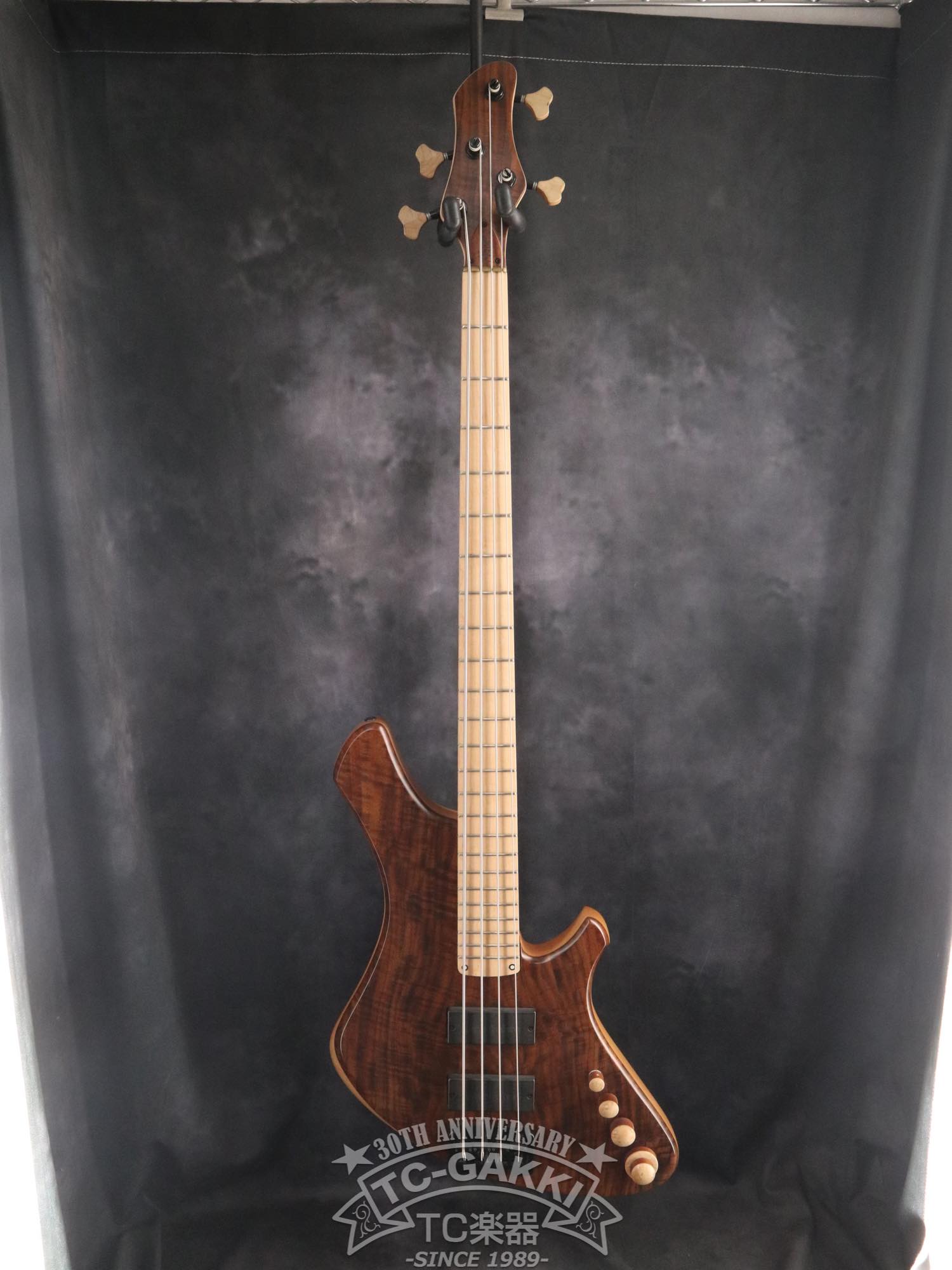 2024 Infinity 4 strings NAMM edition 2024 - TC楽器 - TCGAKKI