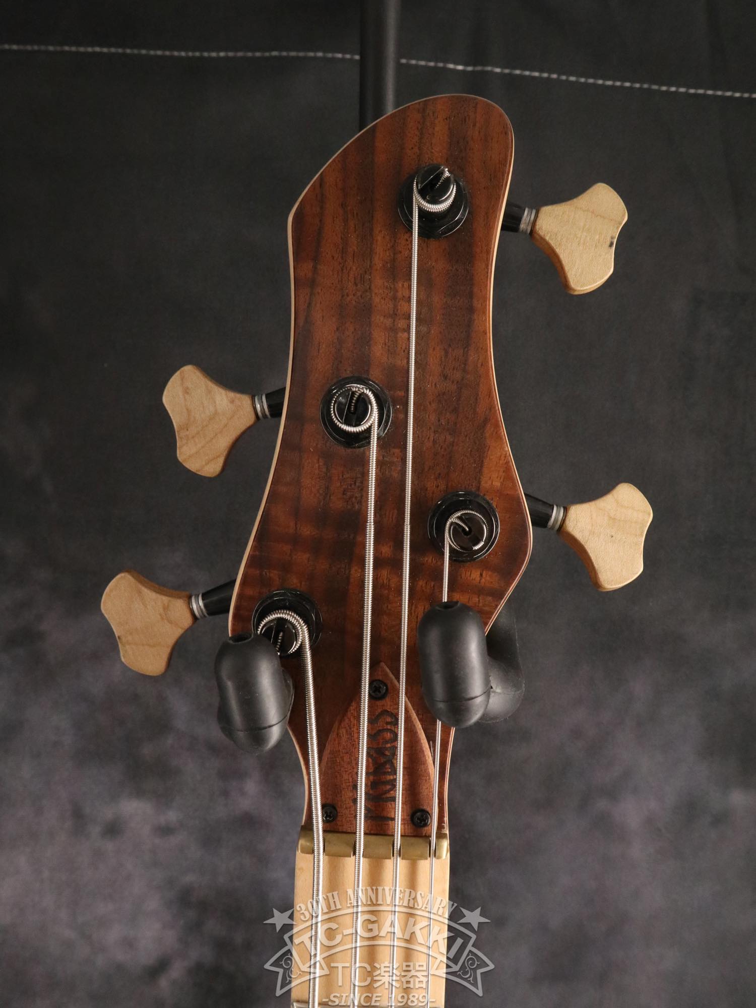 2024 Infinity 4 strings NAMM edition 2024 - TC楽器 - TCGAKKI