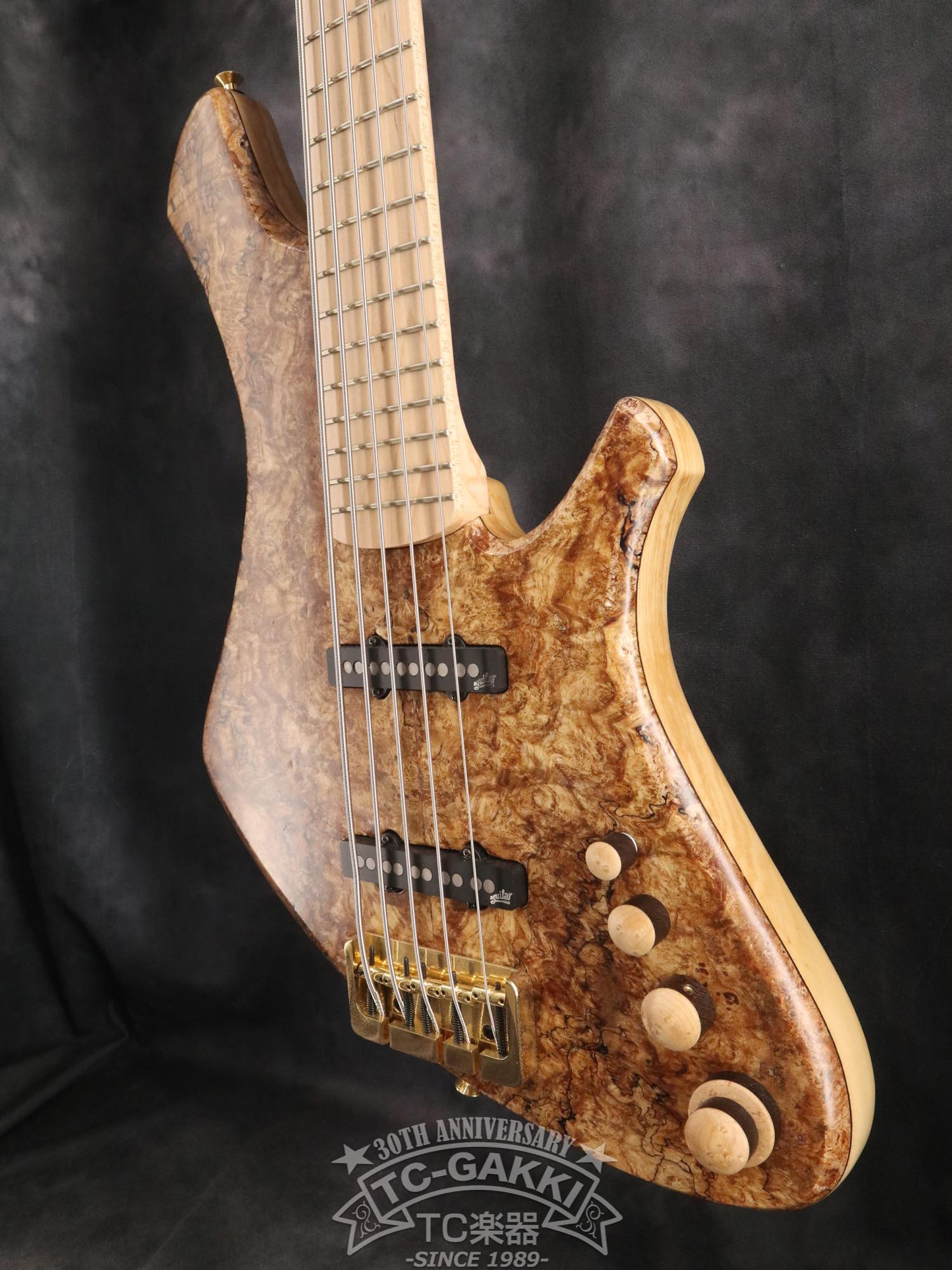 2024 Infinity 5 Strings - TC楽器 - TCGAKKI