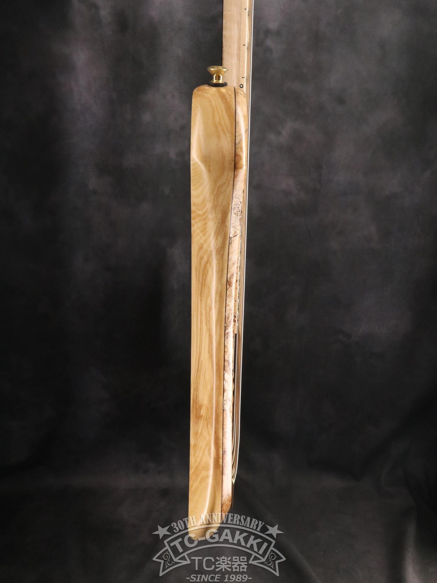 2024 Infinity 5 Strings - TC楽器 - TCGAKKI