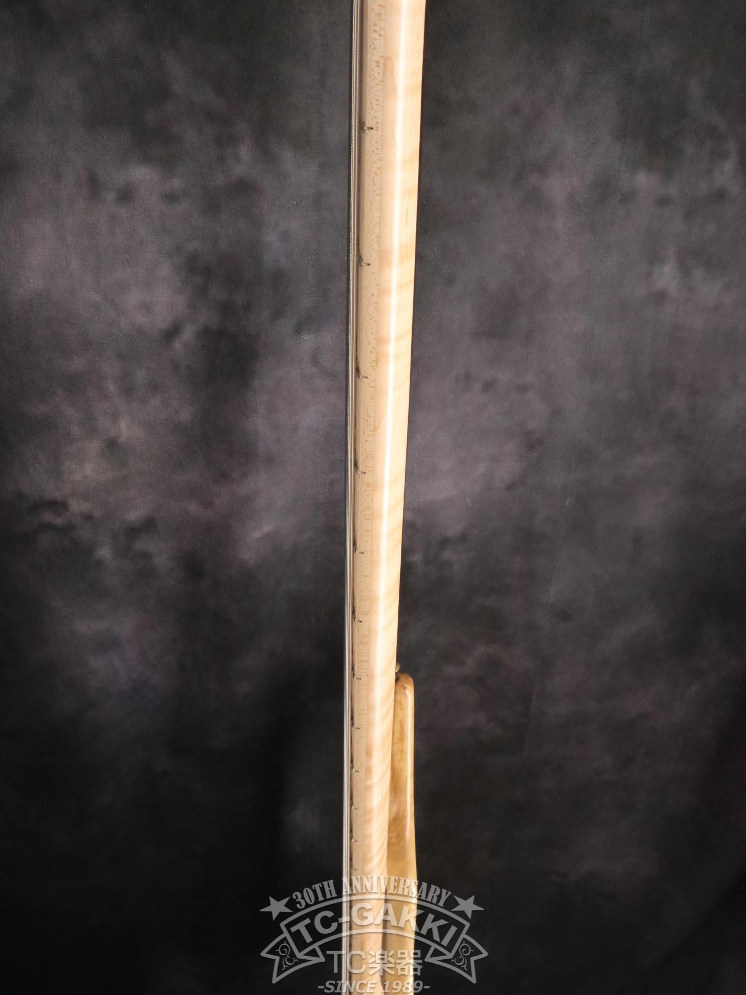 2024 Infinity 5 Strings - TC楽器 - TCGAKKI