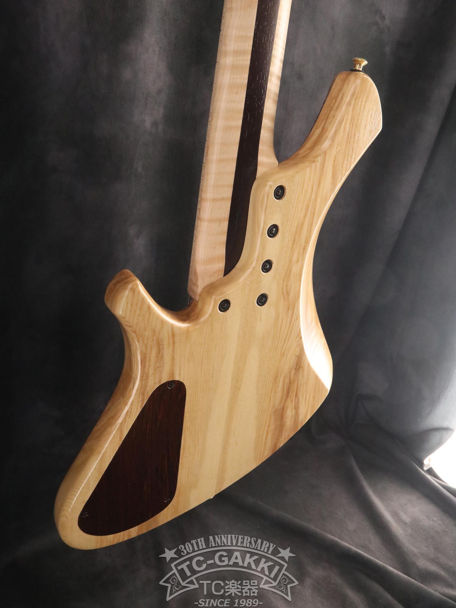 2024 Infinity 5 Strings - TC楽器 - TCGAKKI