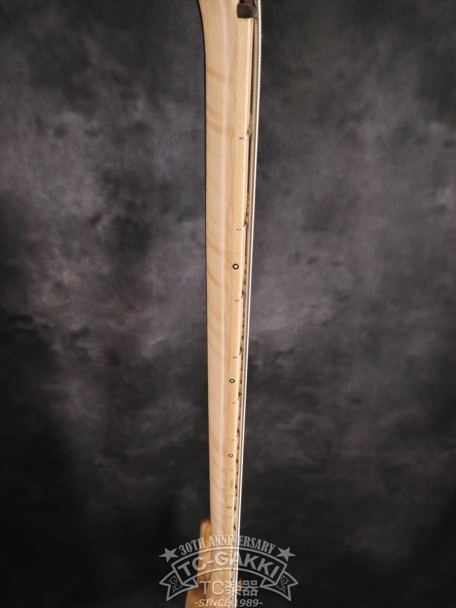 2024 Infinity 5 Strings - TC楽器 - TCGAKKI