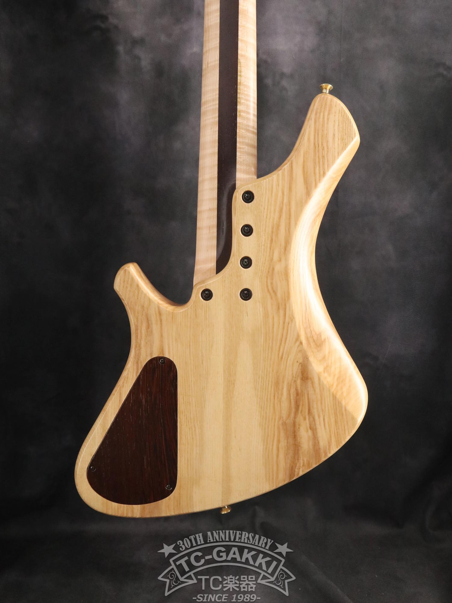 2024 Infinity 5 Strings - TC楽器 - TCGAKKI