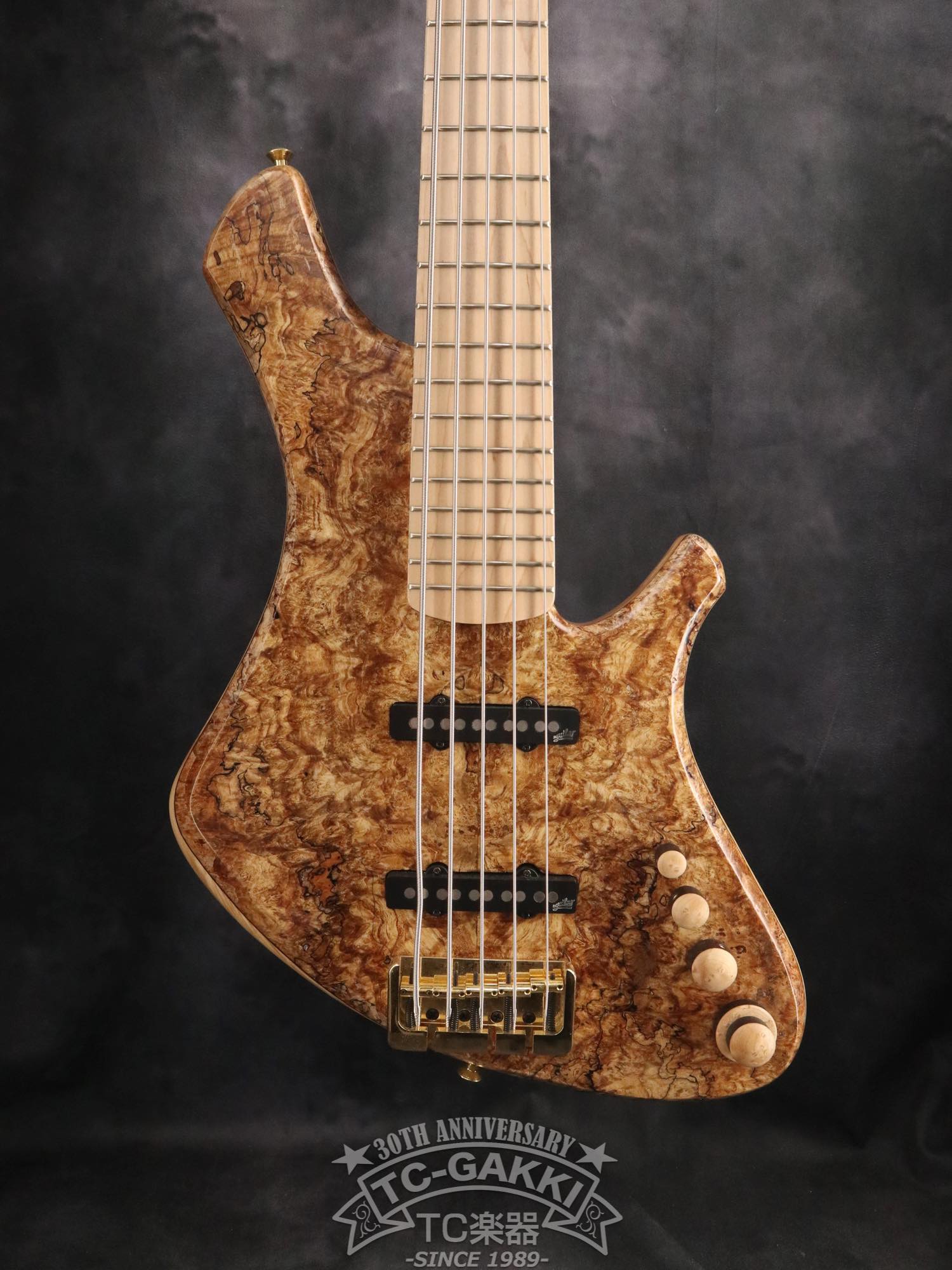 2024 Infinity 5 Strings - TC楽器 - TCGAKKI