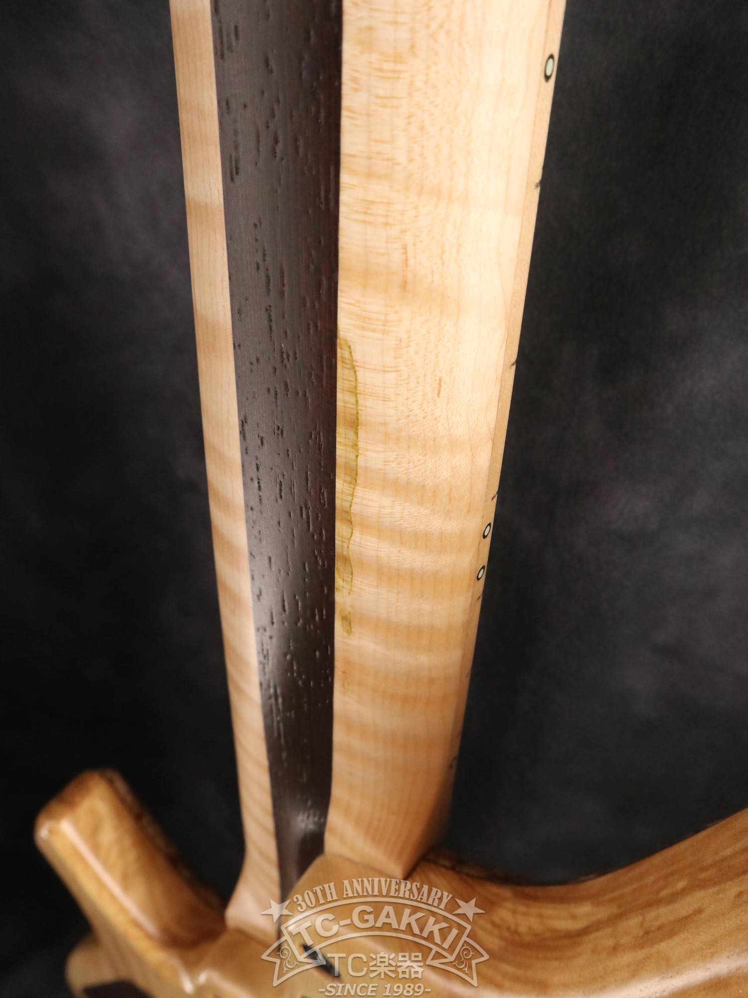 2024 Infinity 5 Strings - TC楽器 - TCGAKKI