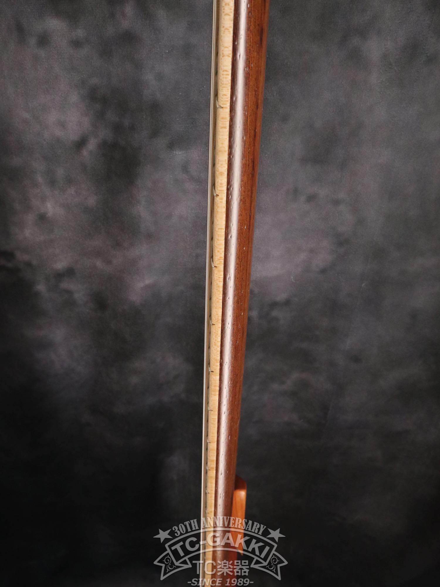 2024 Infinity Rockbird 5 strings - TC楽器 - TCGAKKI