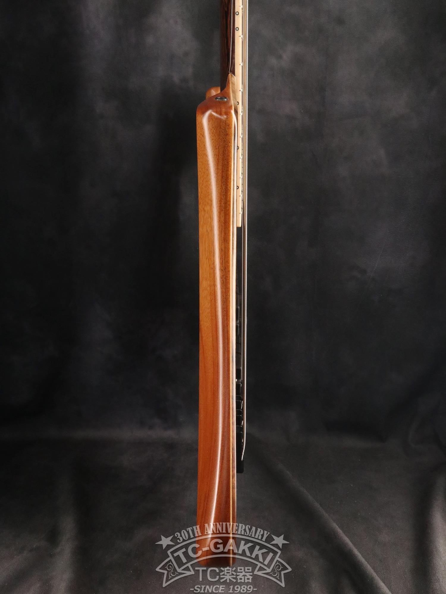 2024 Infinity Rockbird 5 strings - TC楽器 - TCGAKKI