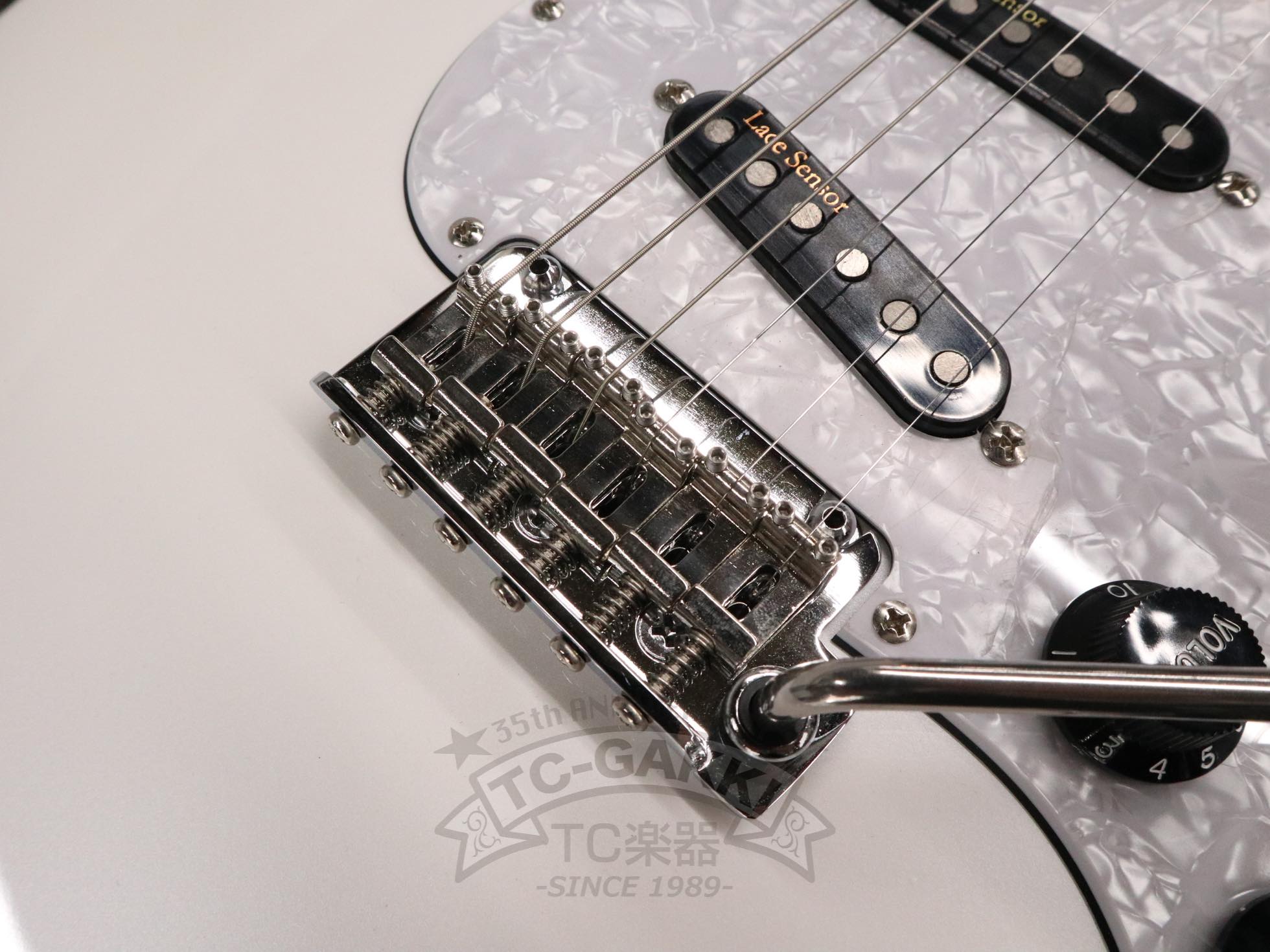 2024 KG - Violator Deacon / R - TC楽器 - TCGAKKI