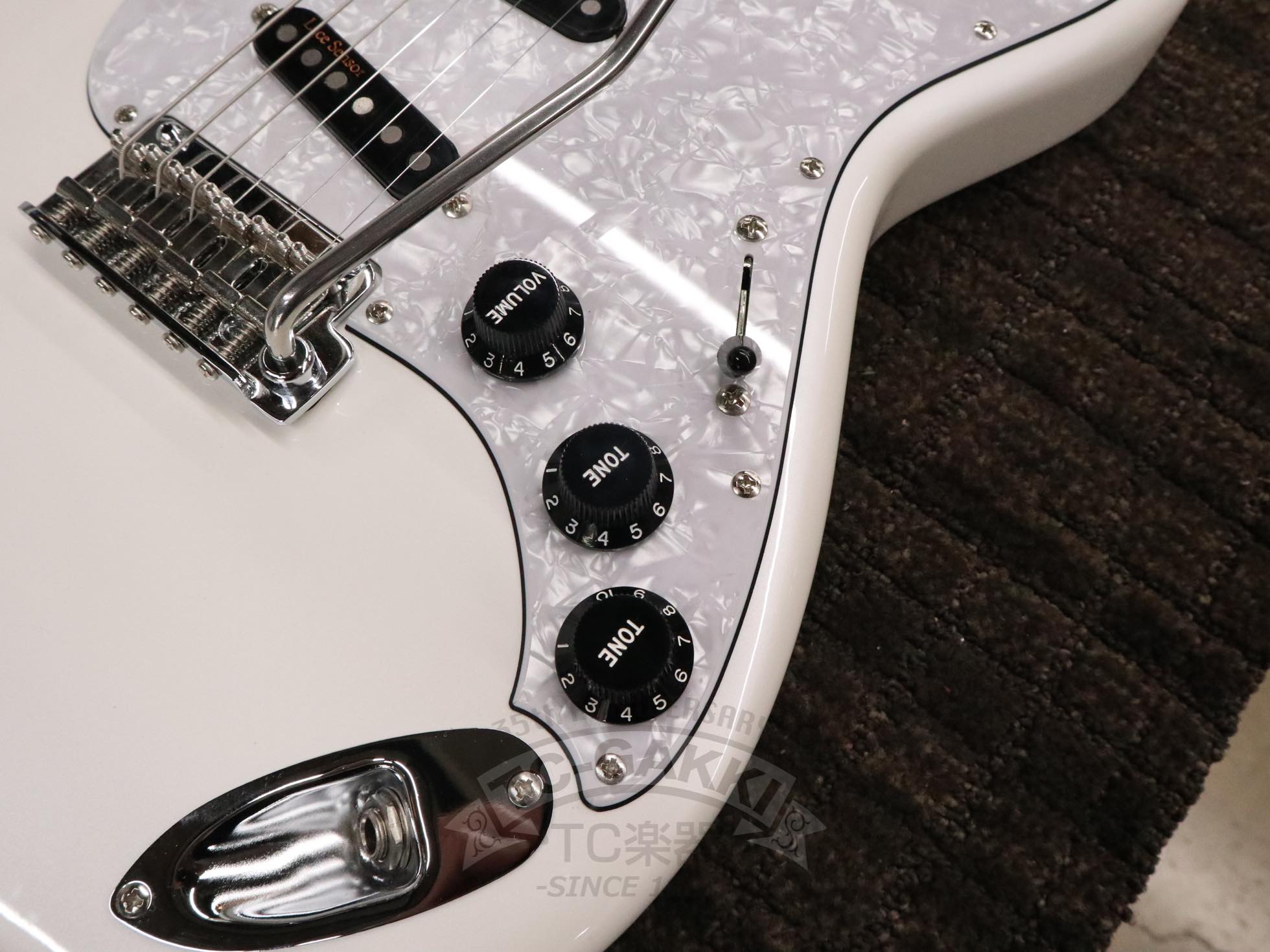 2024 KG - Violator Deacon / R - TC楽器 - TCGAKKI