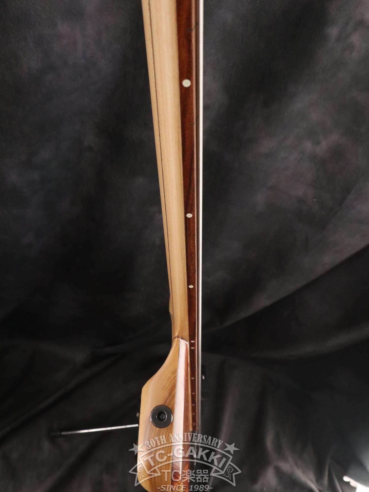 2024 New Extreman Fretless 4 - TC楽器 - TCGAKKI
