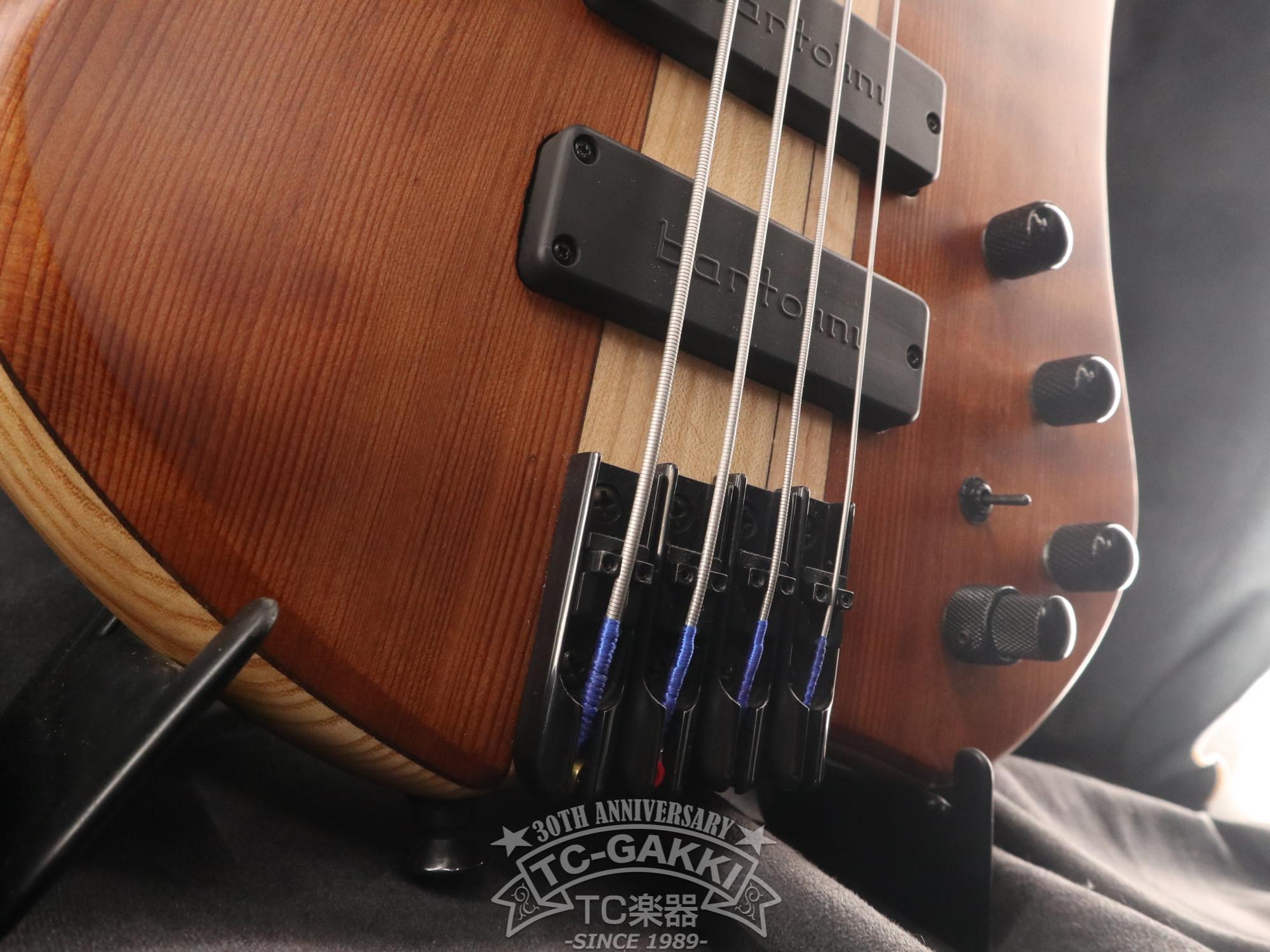 2024 New Extreman Fretless 4 - TC楽器 - TCGAKKI