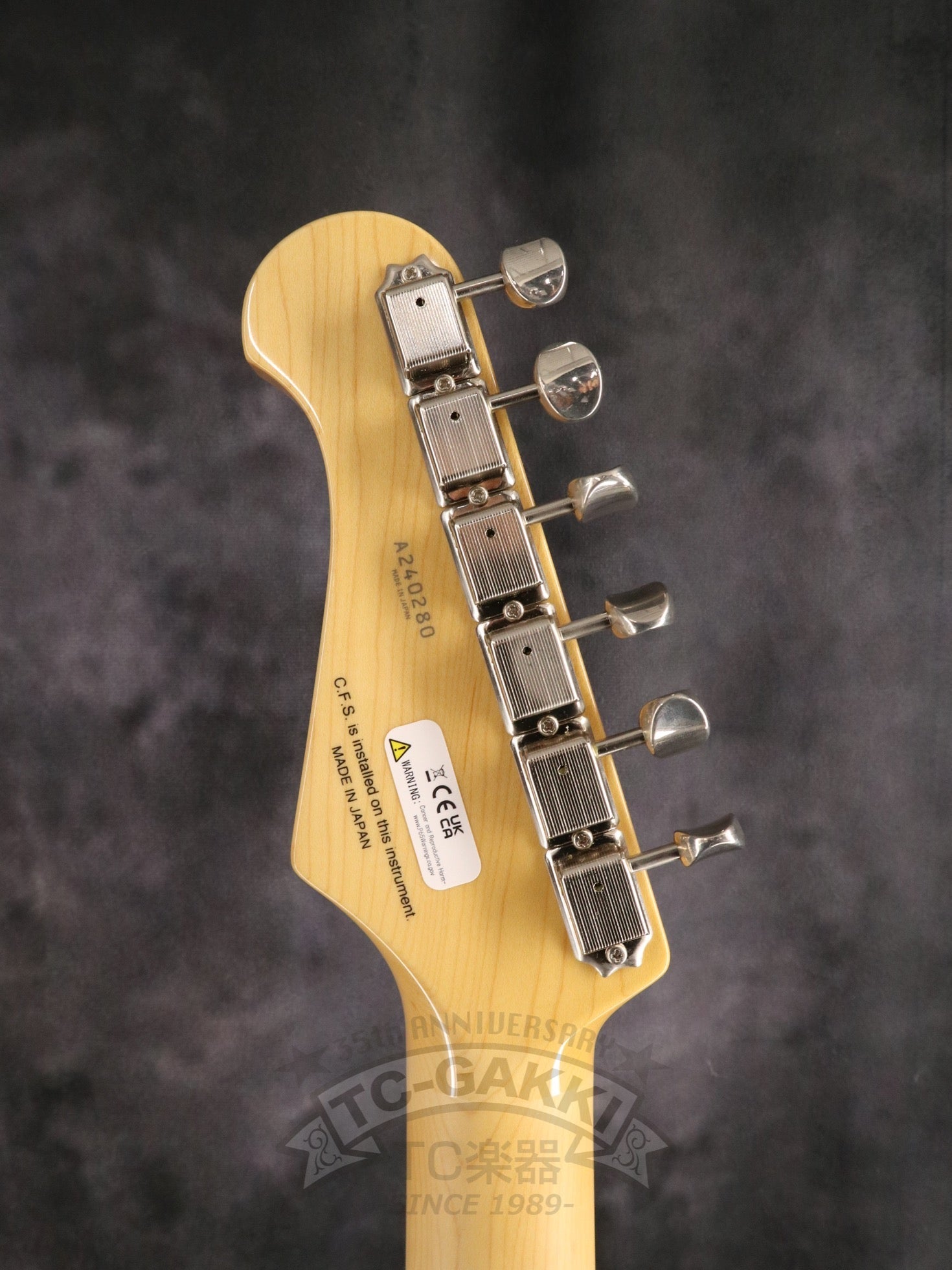 2024 NST100RAL Sunburst - TC楽器 - TCGAKKI