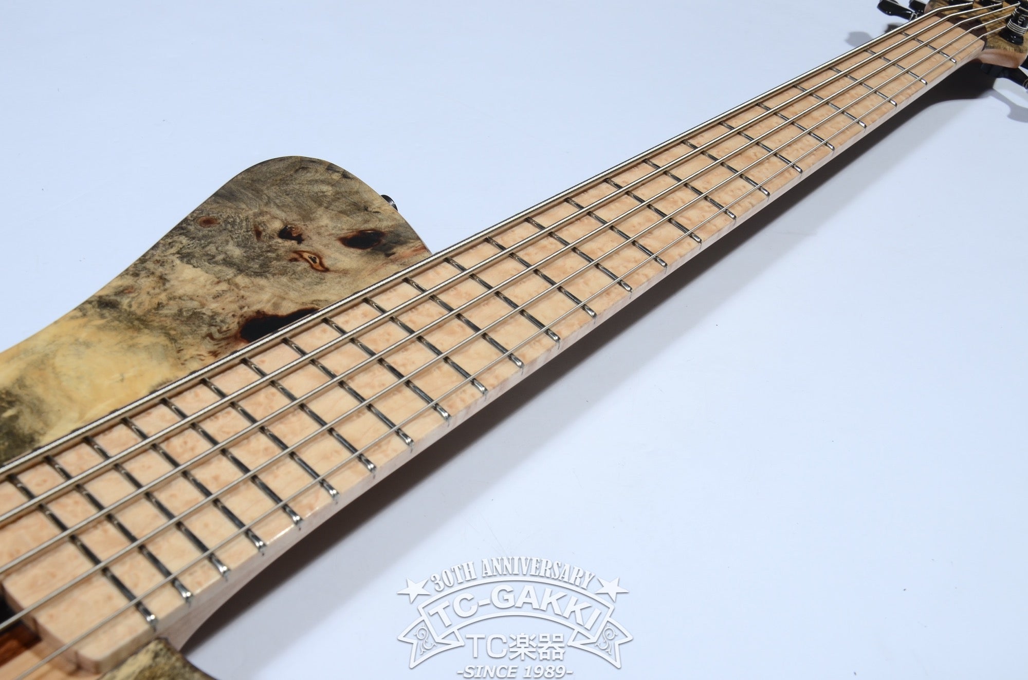 2024 WaveBird 5 Strings - TC楽器 - TCGAKKI