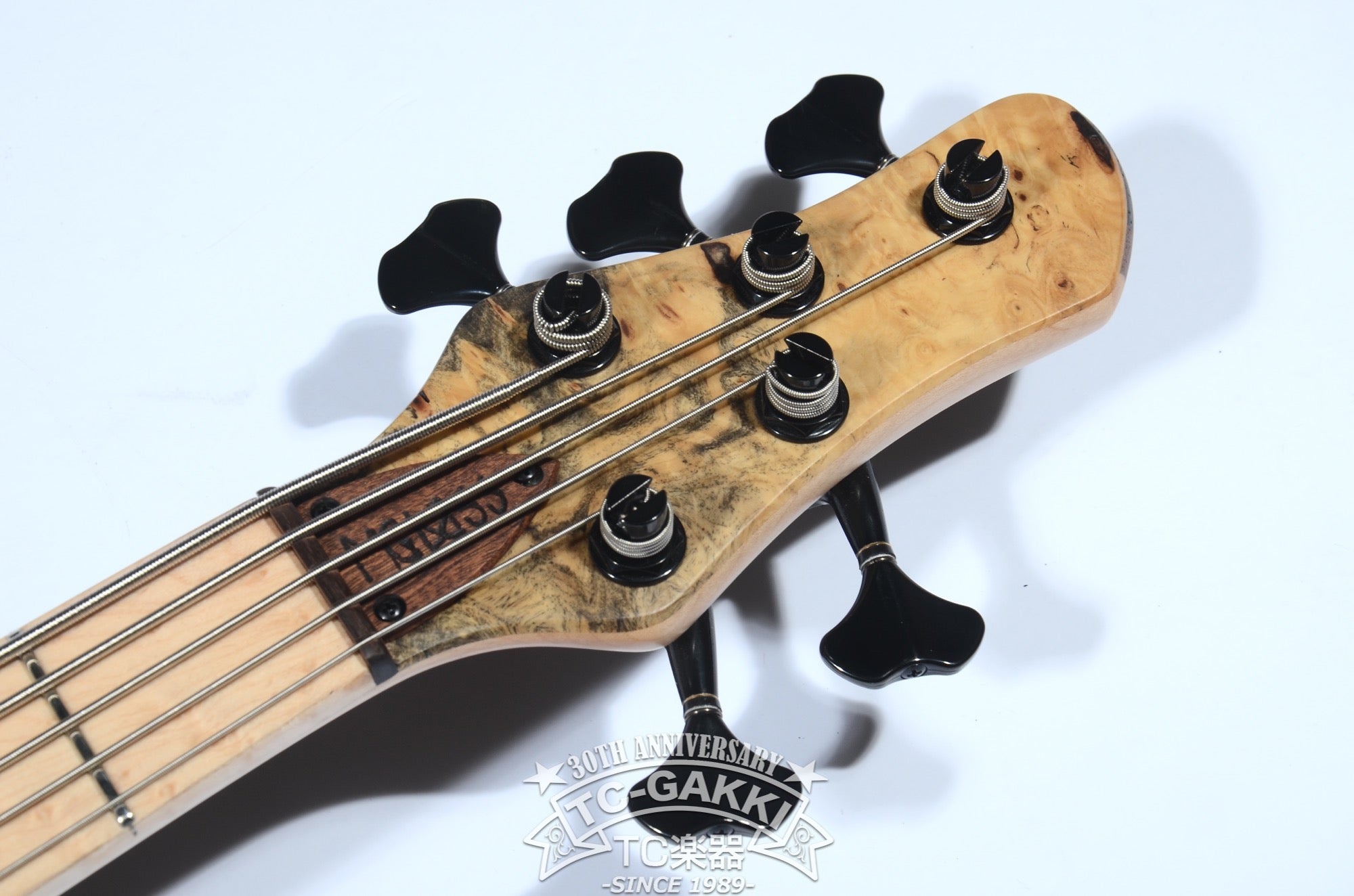 2024 WaveBird 5 Strings - TC楽器 - TCGAKKI