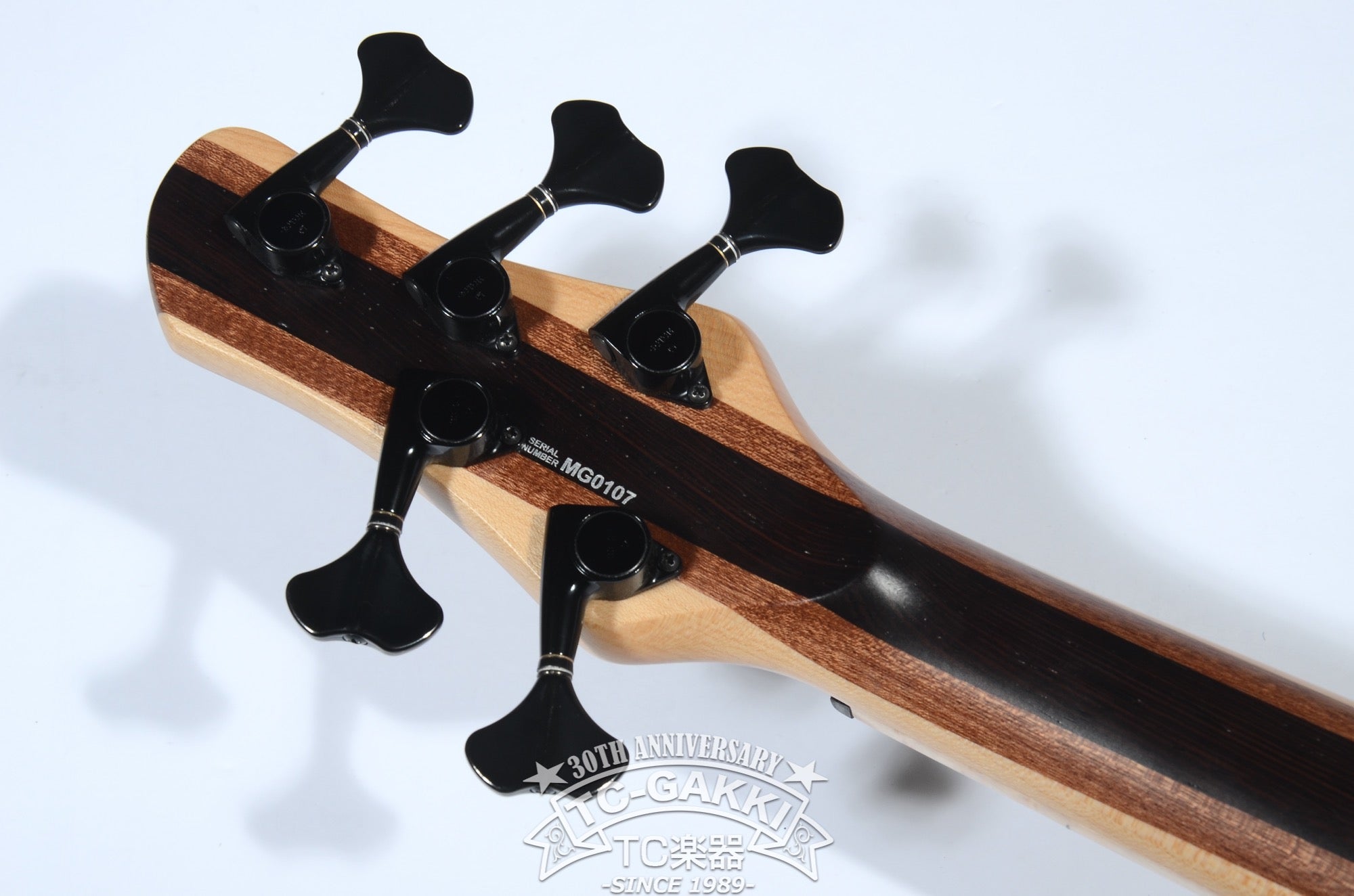 2024 WaveBird 5 Strings - TC楽器 - TCGAKKI