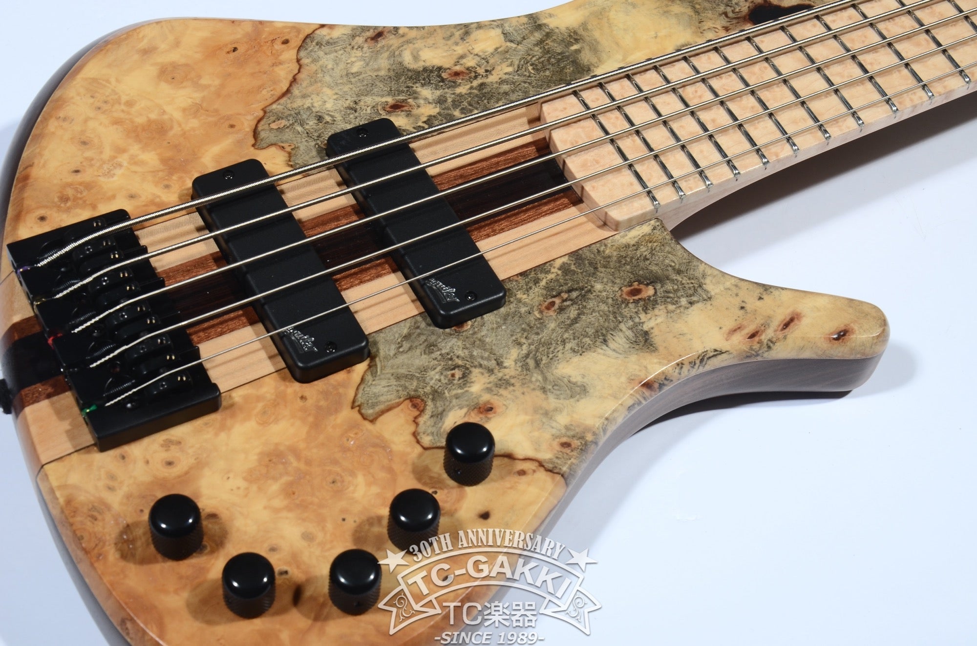 2024 WaveBird 5 Strings - TC楽器 - TCGAKKI