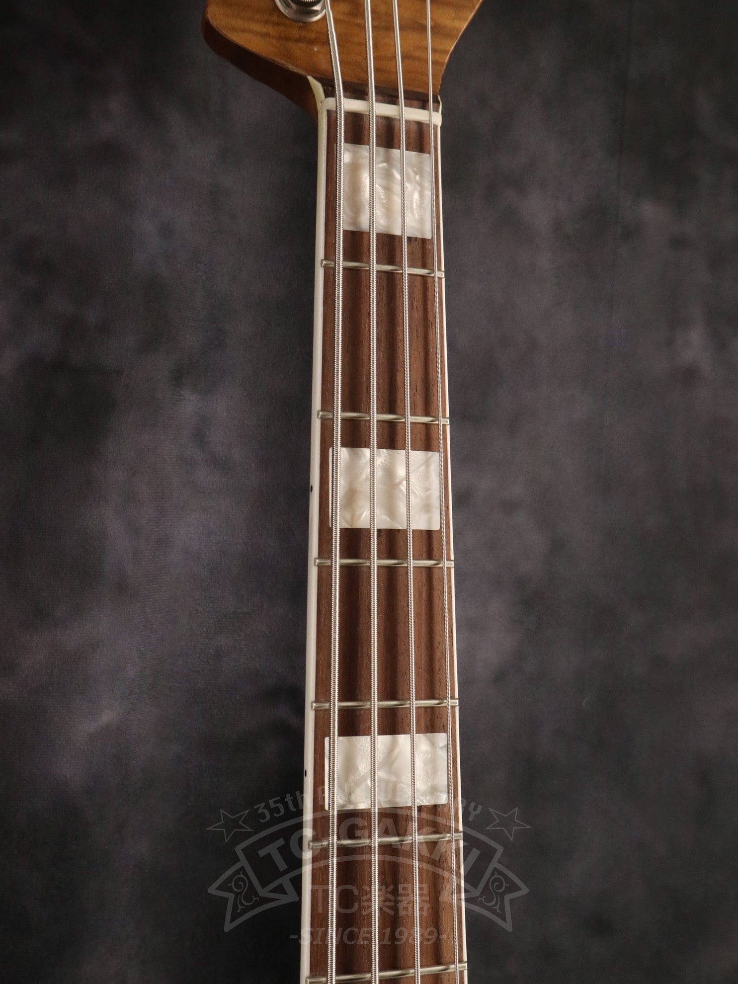 2025 HAVEN - TC楽器 - TCGAKKI