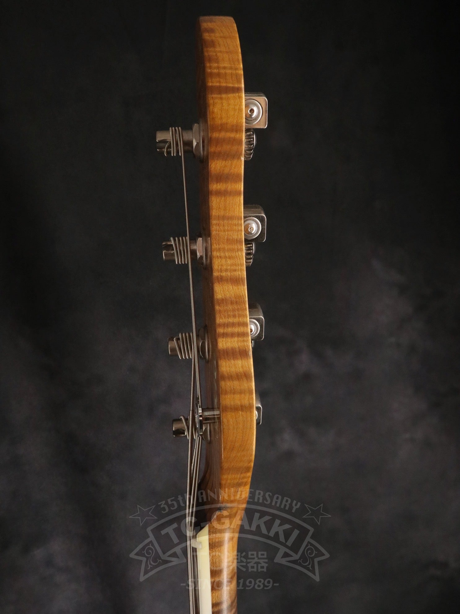 2025 HAVEN - TC楽器 - TCGAKKI