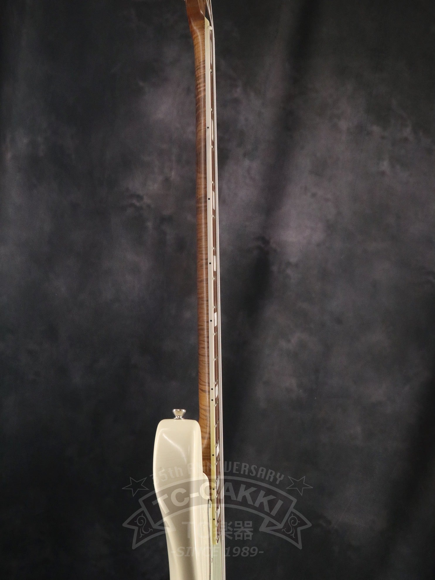 2025 HAVEN - TC楽器 - TCGAKKI