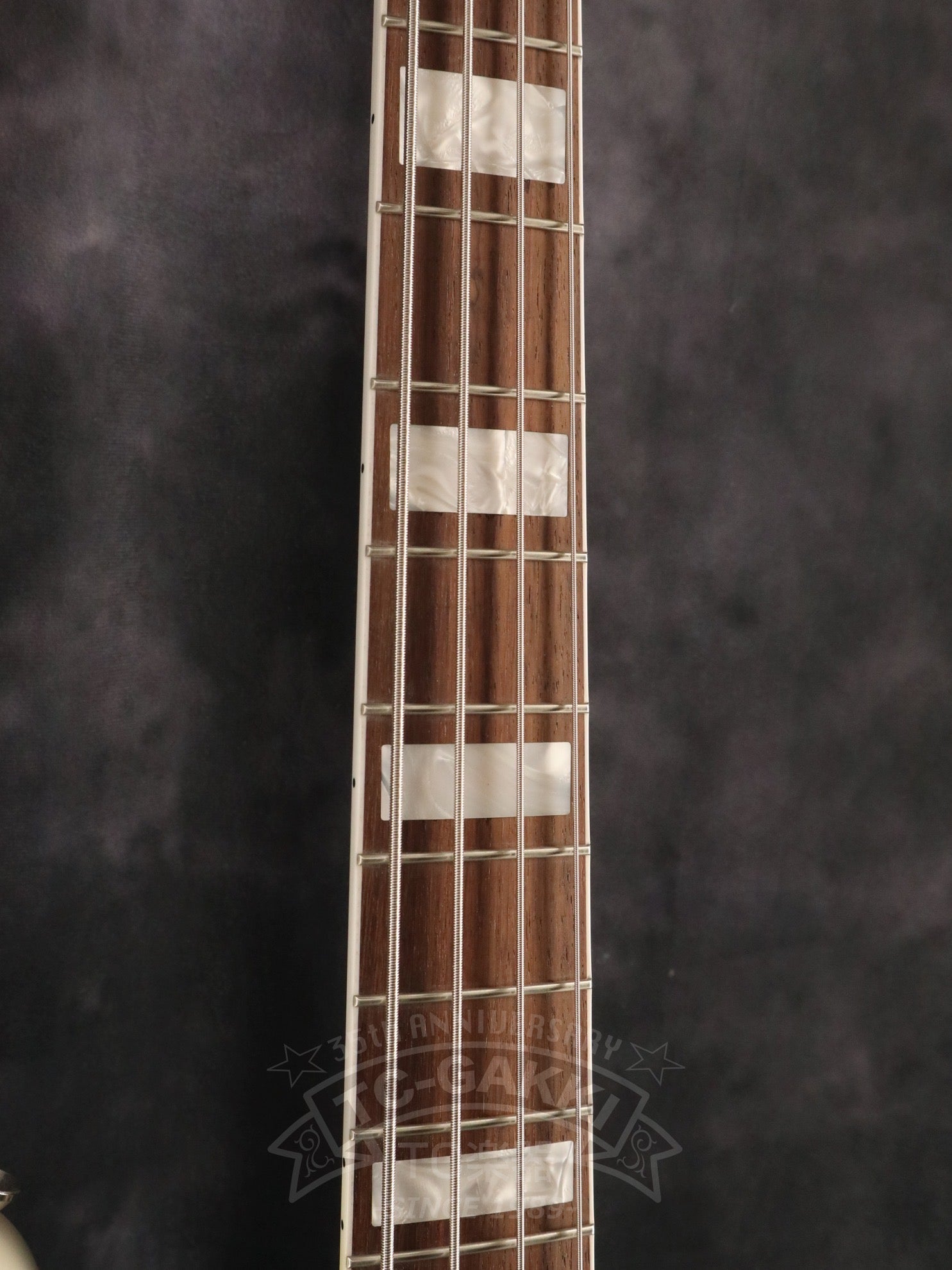 2025 HAVEN - TC楽器 - TCGAKKI