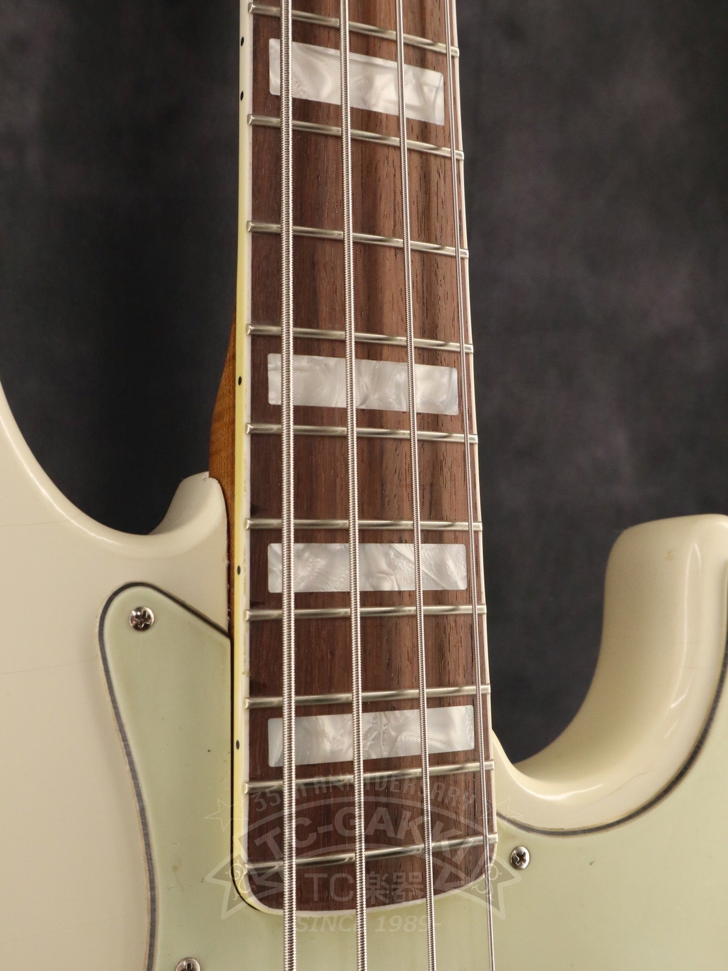 2025 HAVEN - TC楽器 - TCGAKKI