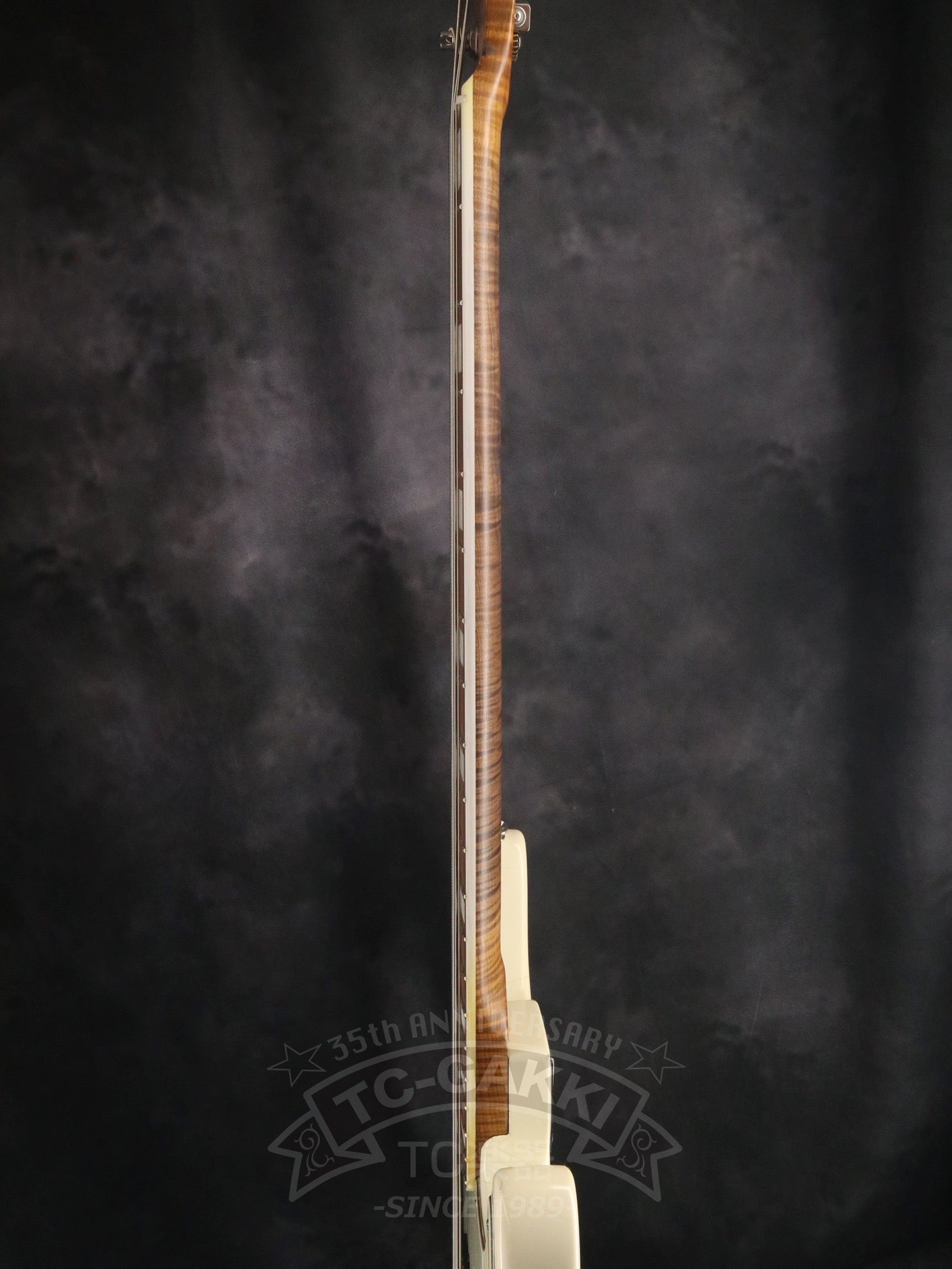 2025 HAVEN - TC楽器 - TCGAKKI