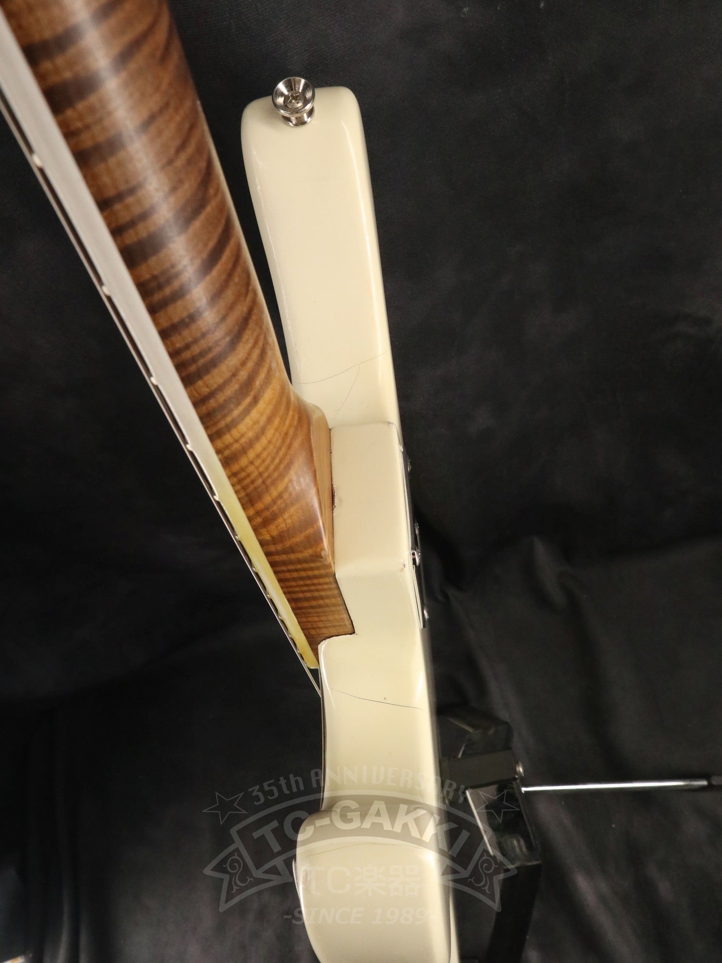 2025 HAVEN - TC楽器 - TCGAKKI