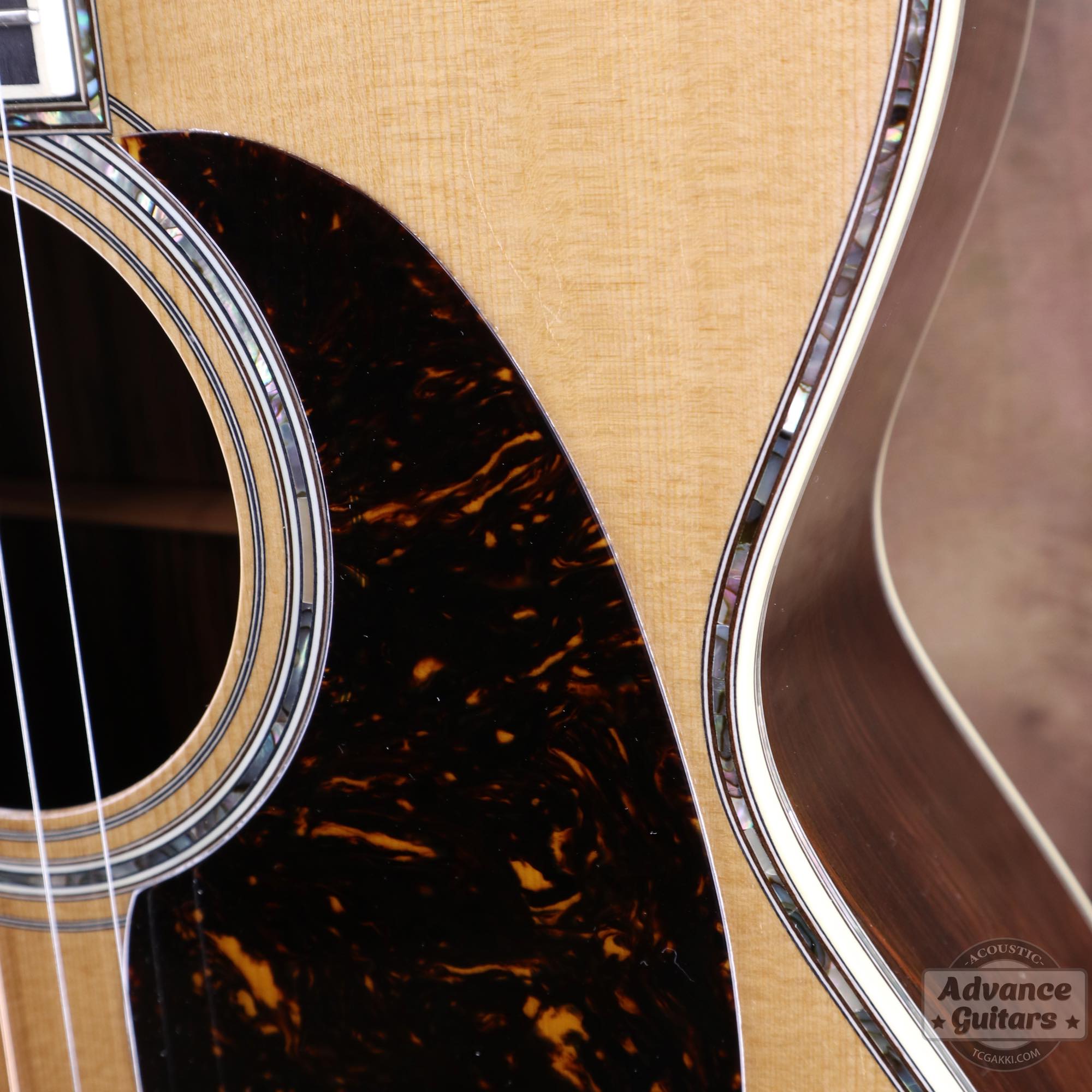 2025年製 OM - 5 - TC楽器 - TCGAKKI