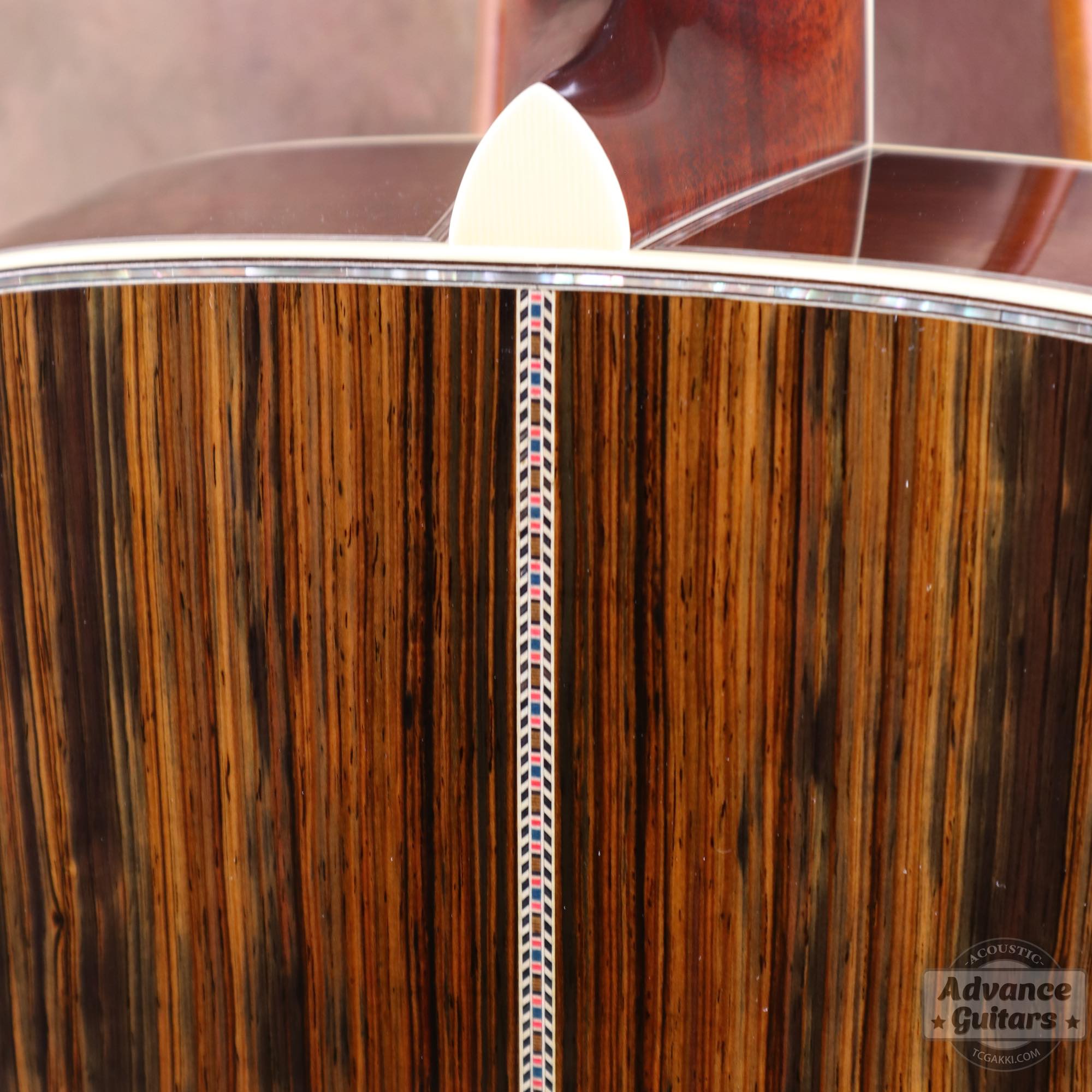 2025年製 OM - 5 - TC楽器 - TCGAKKI