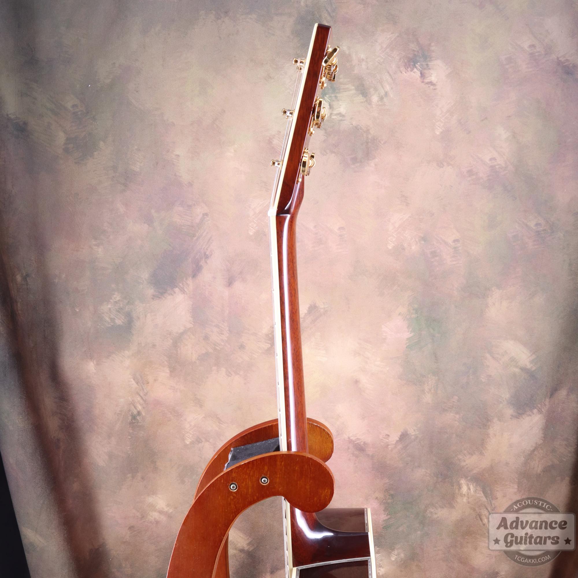 2025年製 OM - 5 - TC楽器 - TCGAKKI