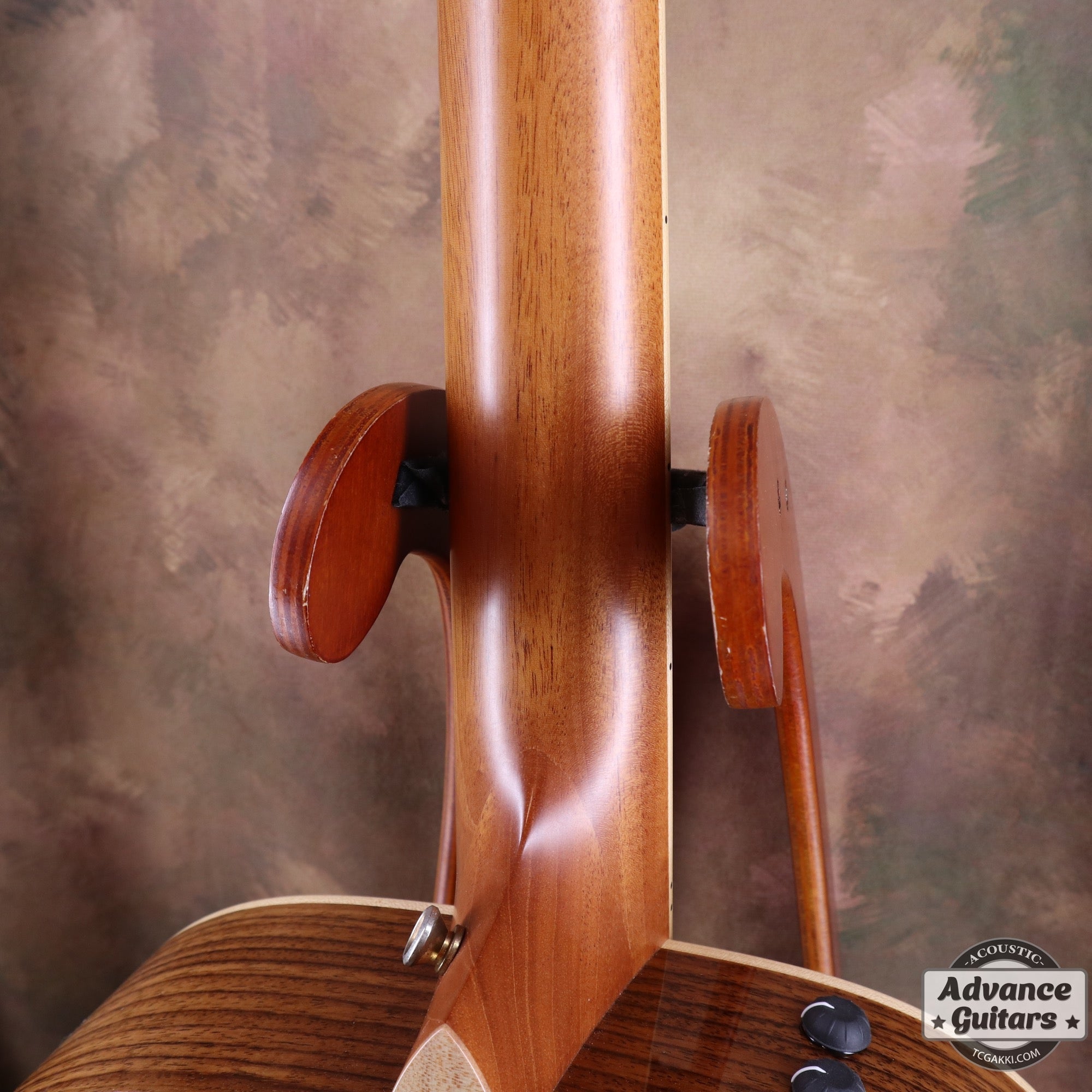 812e 12Fret - TC楽器 - TCGAKKI