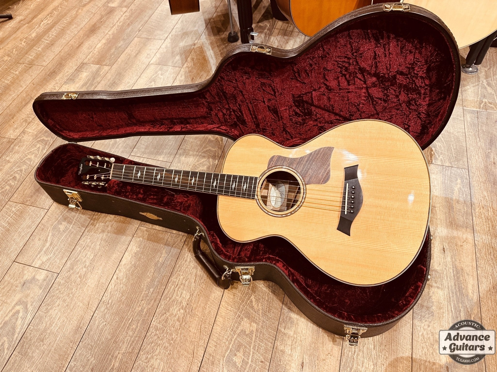 812e 12Fret - TC楽器 - TCGAKKI