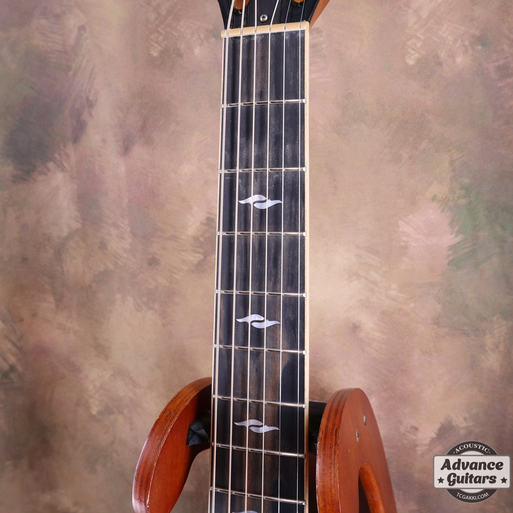 812e 12Fret - TC楽器 - TCGAKKI