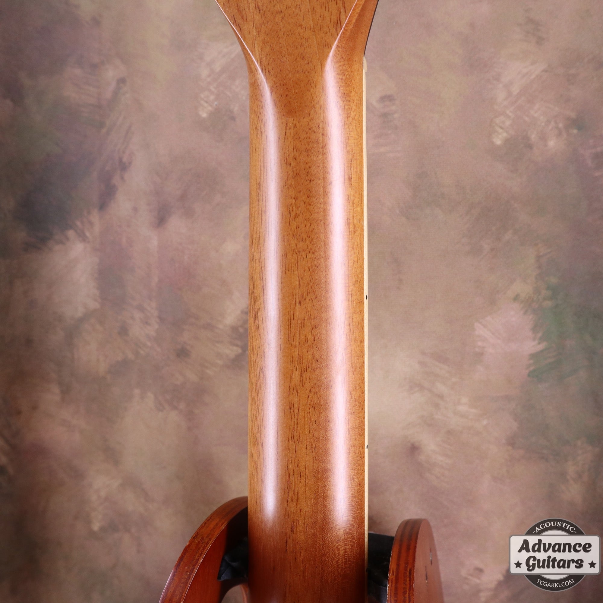 812e 12Fret - TC楽器 - TCGAKKI