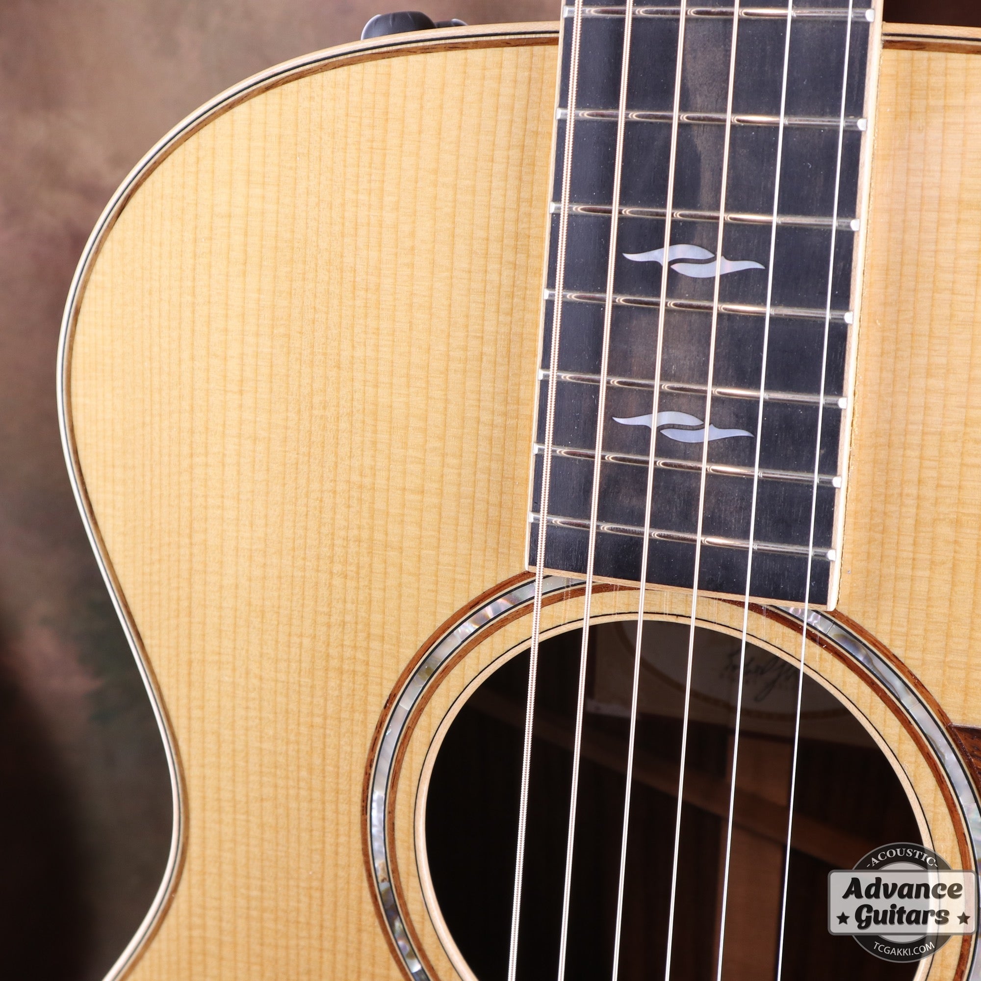 812e 12Fret - TC楽器 - TCGAKKI