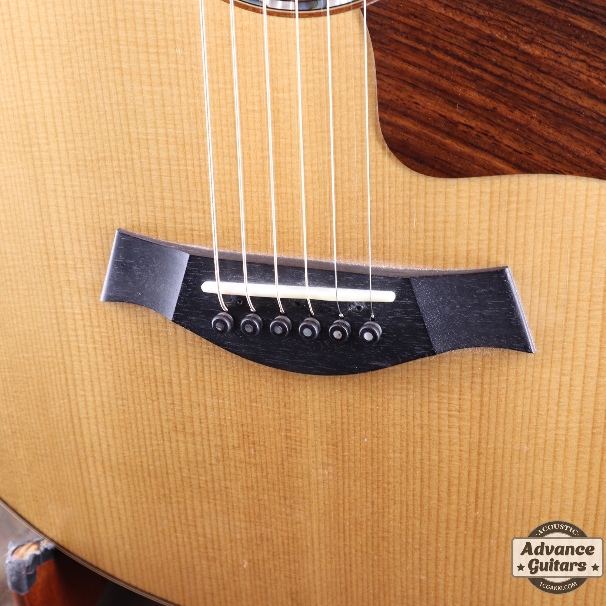 812e 12Fret - TC楽器 - TCGAKKI