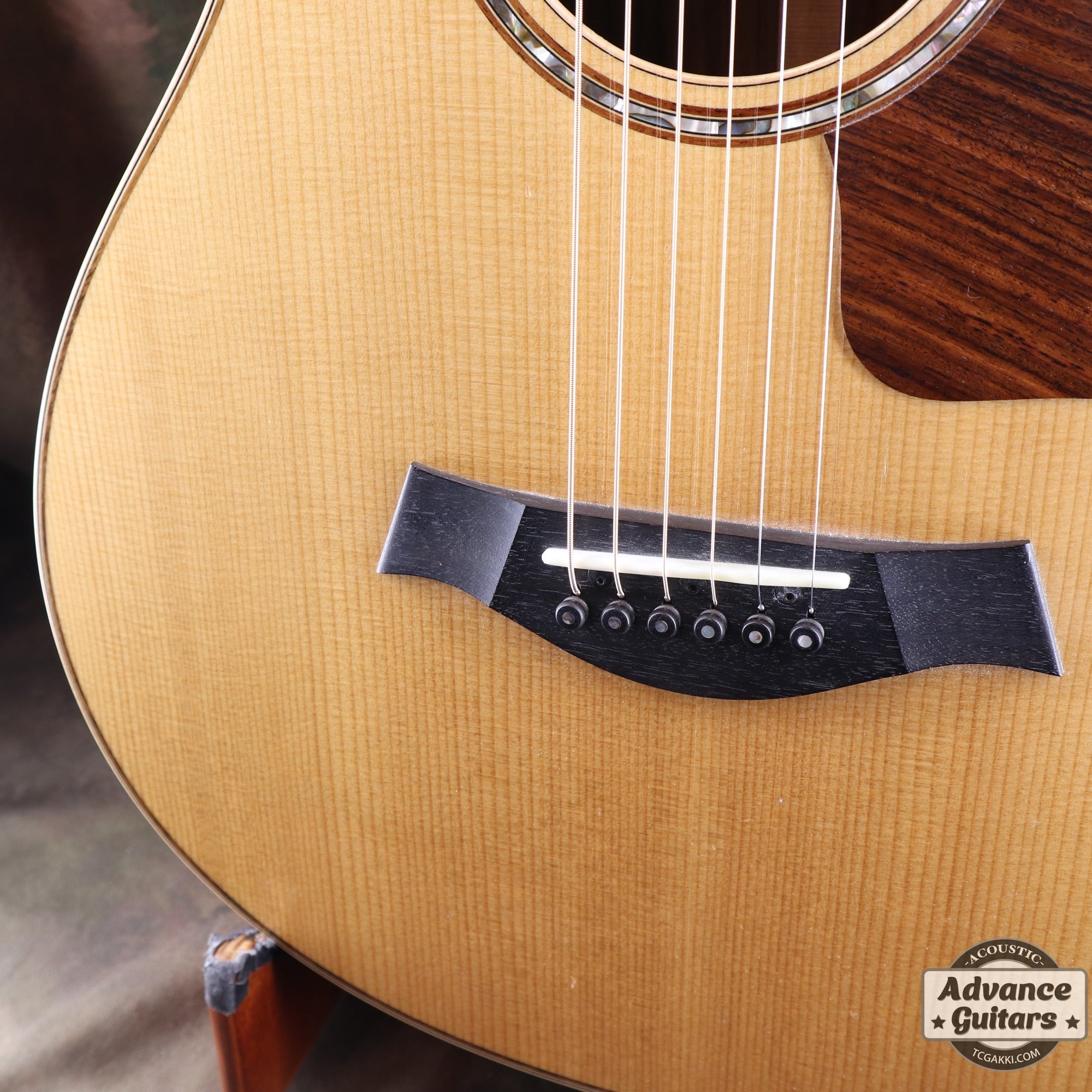 812e 12Fret - TC楽器 - TCGAKKI