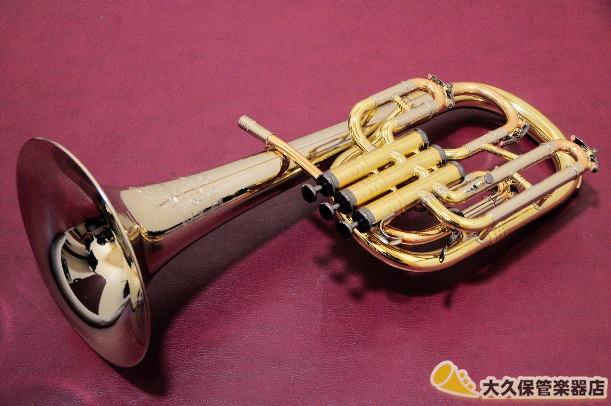 Geneva Cardinal/Tenor Horn-LAQ Tenor Horn (new)