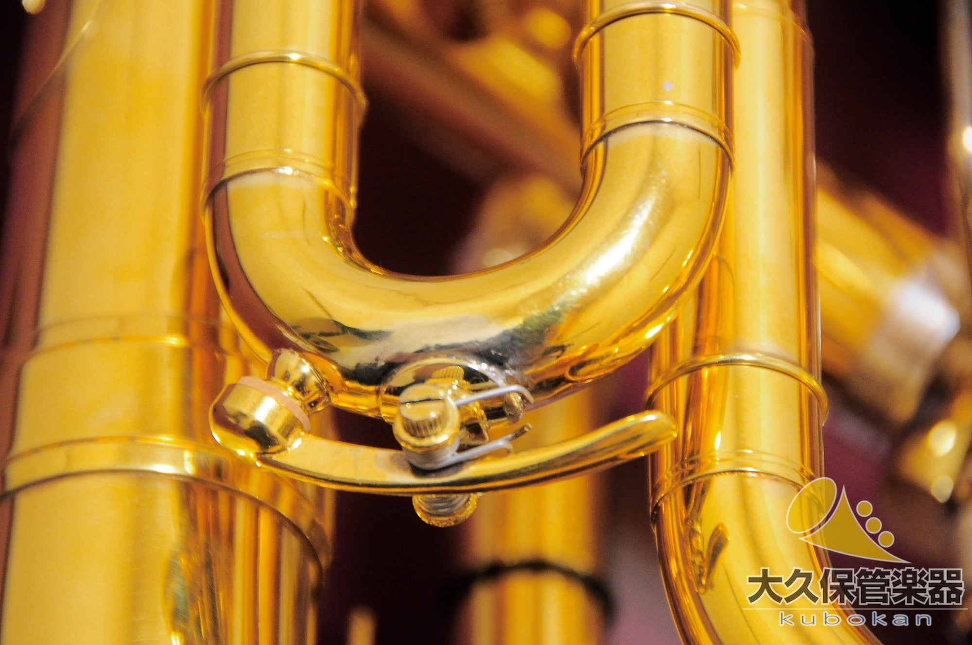 Wilson TA2900BS/GP Euphonium