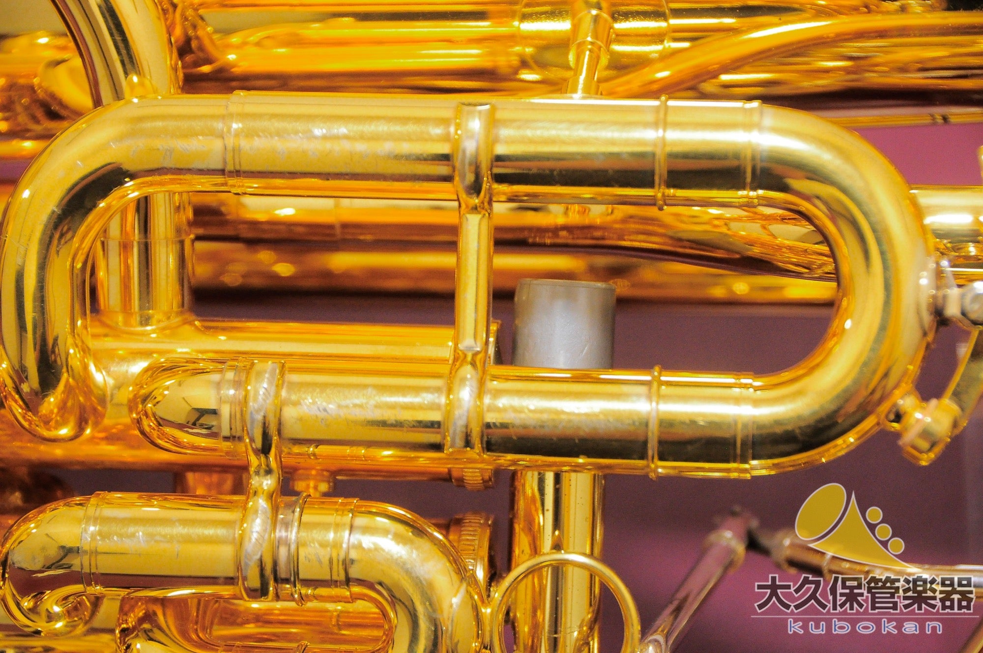 Wilson TA2900BS/GP Euphonium