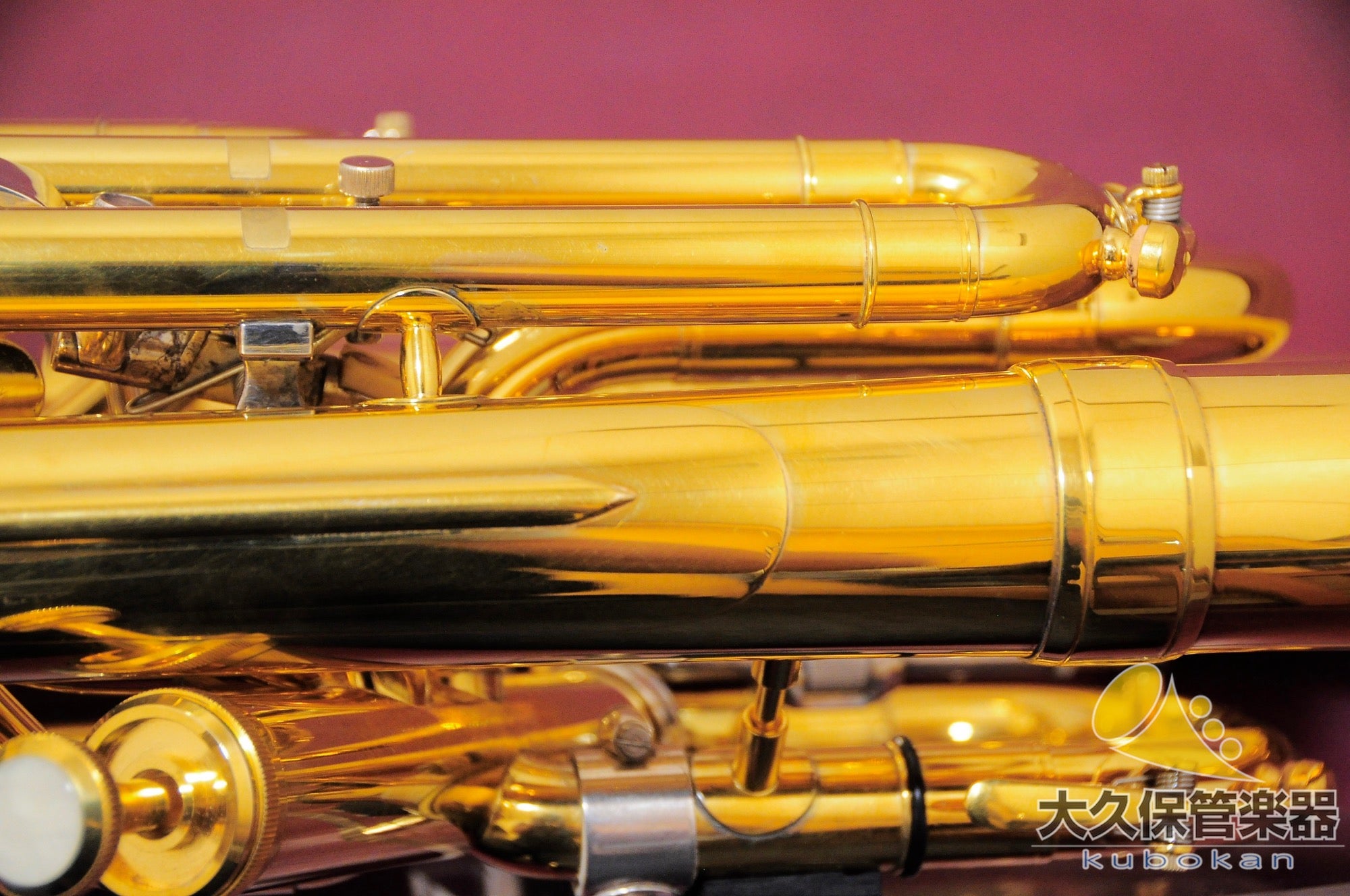 Wilson TA2900BS/GP Euphonium